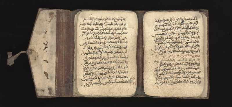 No text description is available for this image