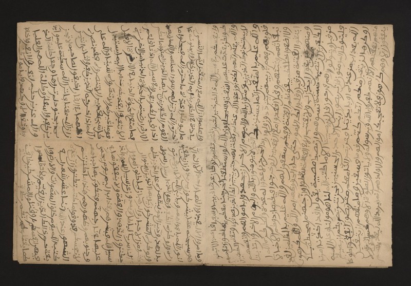 No text description is available for this image