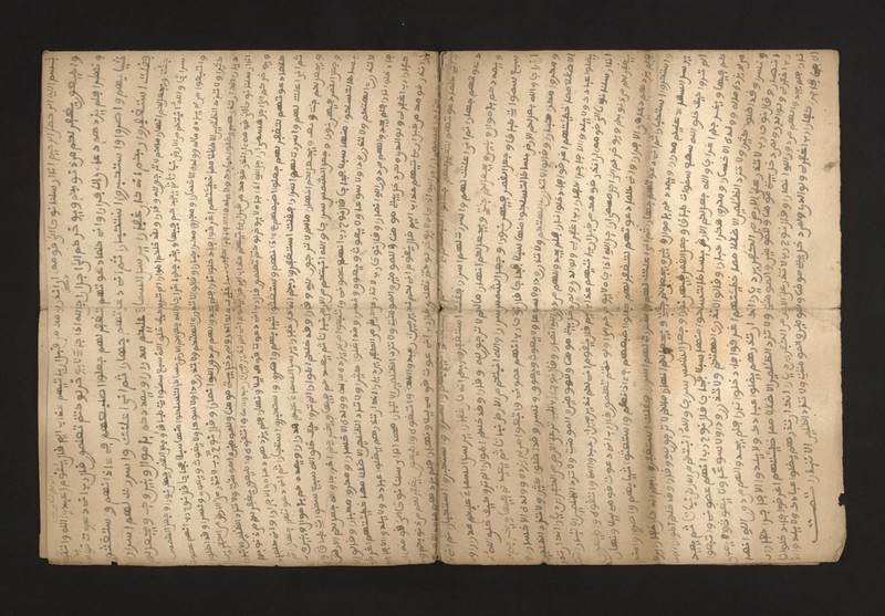 No text description is available for this image