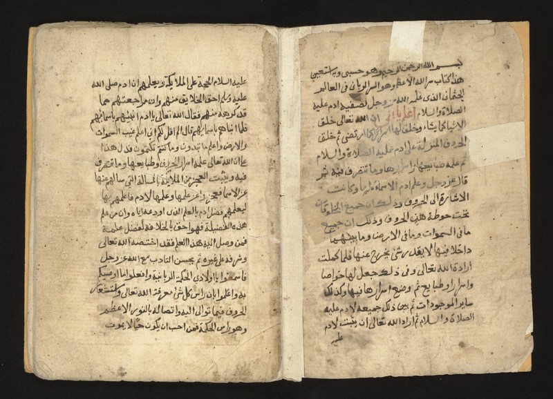 No text description is available for this image