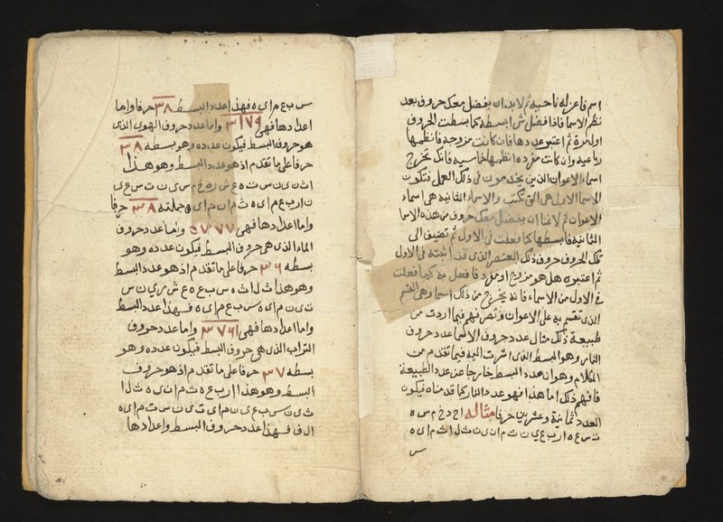 No text description is available for this image