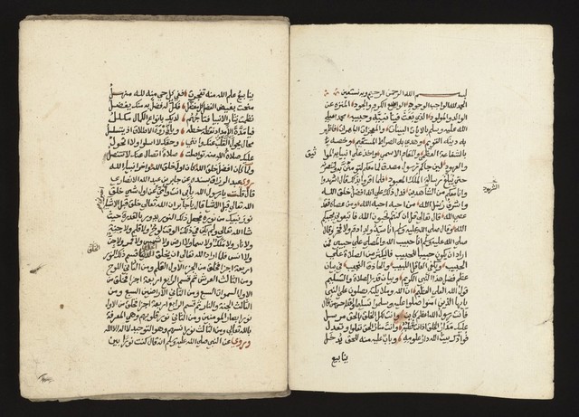 digitised image 2