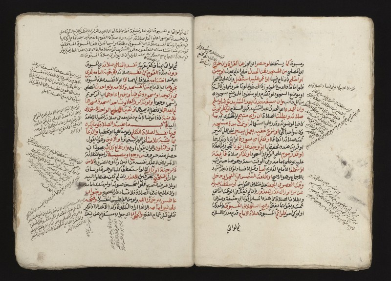 No text description is available for this image