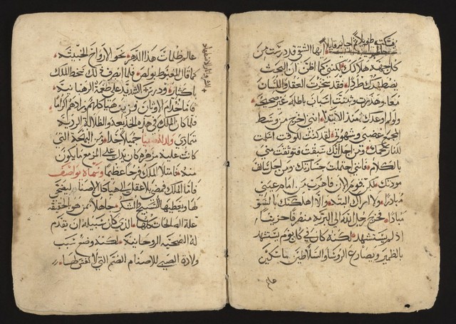 digitised image 2