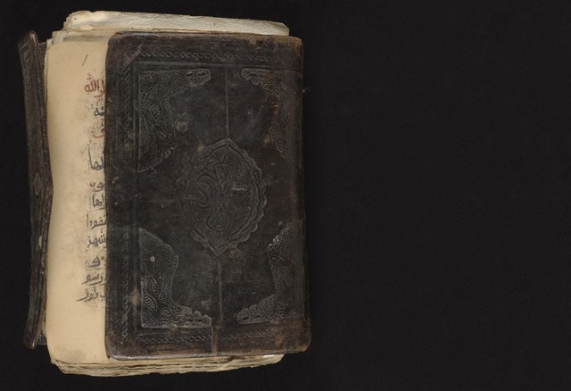 No text description is available for this image