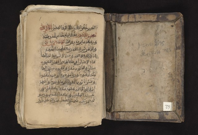 No text description is available for this image