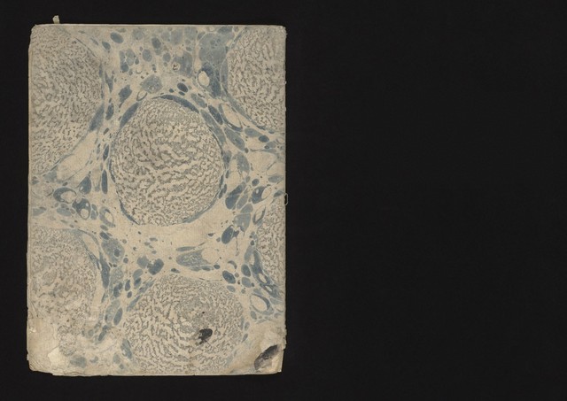 digitised image 1