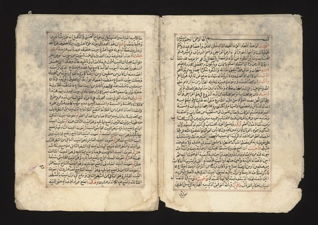 digitised image 3
