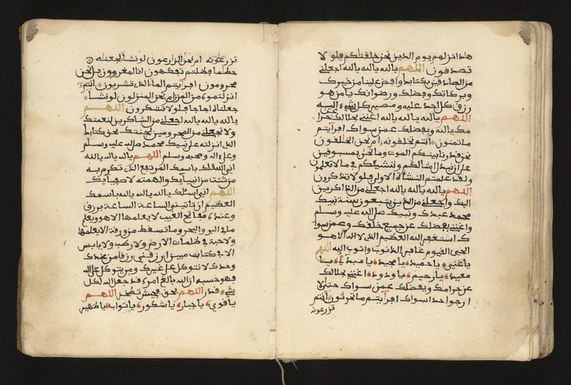 No text description is available for this image