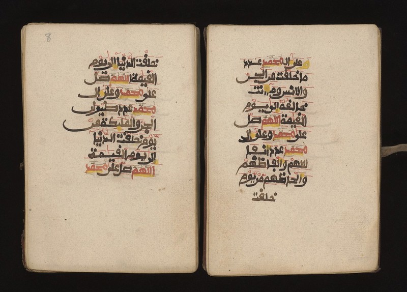 No text description is available for this image