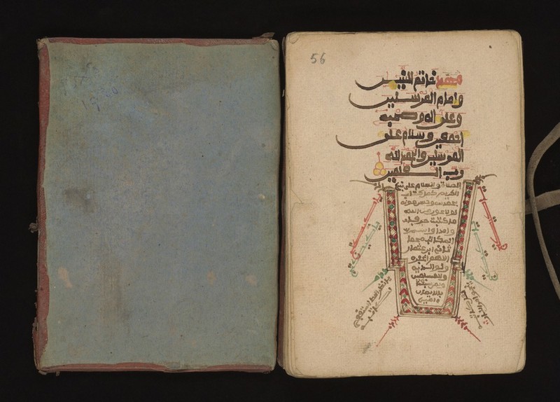 No text description is available for this image