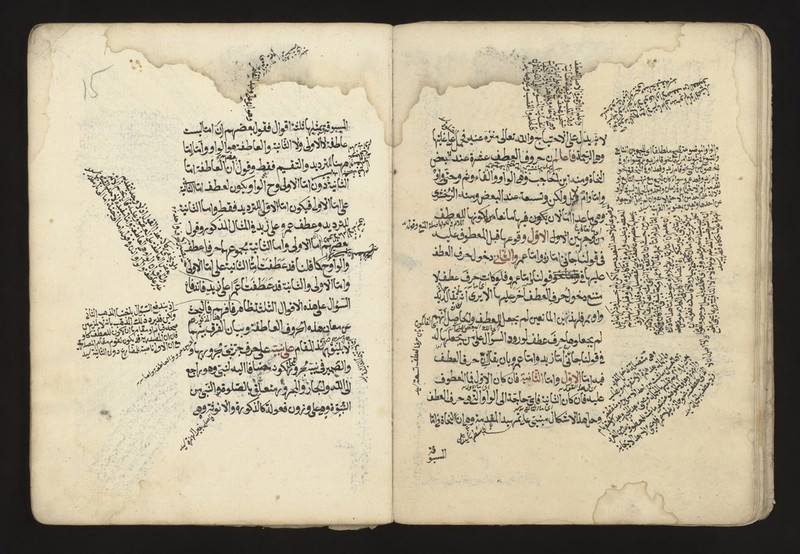 No text description is available for this image