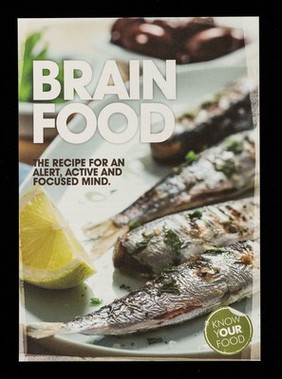 Brain food : the recipe for an alert, active and focused mind.