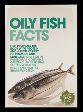 Oily fish facts : fish provides the body with protein and a rich variety of vitamins and minerals : oily fish in particular contains Omega 3.