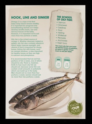 Oily fish facts : fish provides the body with protein and a rich variety of vitamins and minerals : oily fish in particular contains Omega 3.