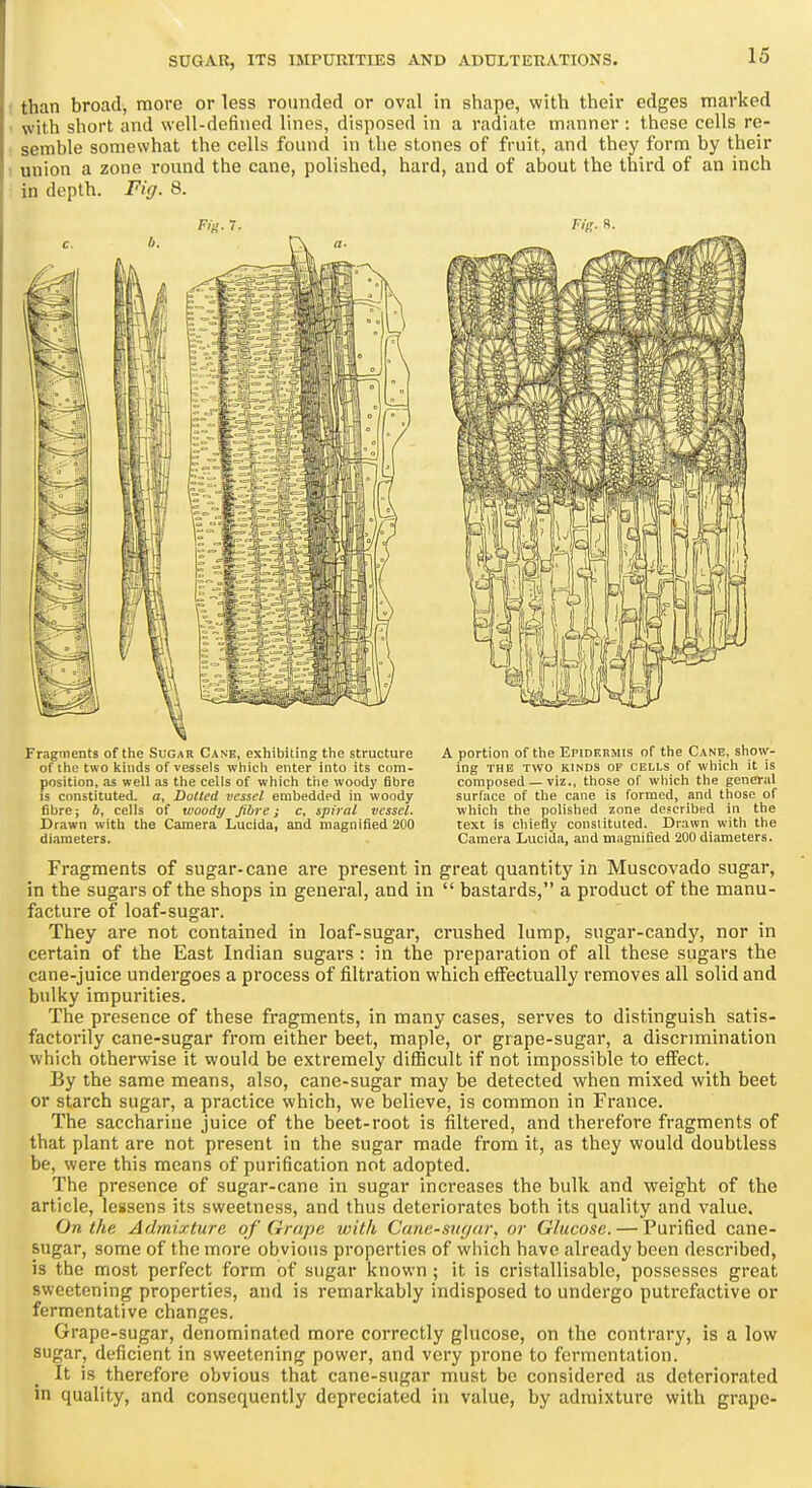 than broad, more or less rounded or oval in shape, with their edges marked with short and well-defined lines, disposed in a radiate manner : these cells re- semble somewhat the cells found in the stones of fruit, and they form by their union a zone round the cane, polished, hard, and of about the third of an inch in depth. Fig. 8. Fw. 7. FiR. 8. Fragments of the Sugar Cane, exhibiting the structure of the two kinds of vessels which enter into its com- position, as well as the cells of which the woody fibre is constituted, a, Dotted vessel embedded in woody fibre; J, cells of woody fibre; c, spiral vessel. Drawn with the Camera Lucida, and magnified 200 diameters. A portion of the Epidermis of the Cane, show- ing THE TWO KINDS OF CELLS of which it is composed — viz., those of wliich the general surface of the cane is formed, and those of which the polished zone described in the text is chiefly constituted. Drawn with the Camera Lucida, and magnified 200 diameters. Fragments of sugar-cane are present in great quantity in Muscovado sugar, in the sugars of the shops in general, and in  bastards, a product of the manu- facture of loaf-sugar. They are not contained in loaf-sugar, crushed lump, sugar-candy, nor in certain of the East Indian sugars : in the preparation of all these sugars the cane-juice undergoes a process of filtration which effectually removes all solid and bulky impurities. The presence of these fragments, in many cases, serves to distinguish satis- factorily cane-sugar from either beet, maple, or grape-sugar, a discrimination which otherwise it would be extremely difficult if not impossible to effect. By the same means, also, cane-sugar may be detected when mixed with beet or starch sugar, a practice which, we believe, is common in France. The saccharine juice of the beet-root is filtered, and therefore fragments of that plant are not present in the sugar made from it, as they would doubtless be, were this means of purification not adopted. The presence of sugar-cane in sugar increases the bulk and weight of the article, lessens its sweetness, and thus deteriorates both its quality and value. On the Admixture of Grape with Cane-sugar, or Glucose. — Purified cane- sugar, some of the more obvious properties of which have already been described, is the most perfect form of sngar known ; it is cristallisable, possesses great sweetening properties, and is remarkably indisposed to undergo putrefactive or fermentative changes. Grape-sugar, denominated more correctly glucose, on the contrary, is a low sugar, deficient in sweetening power, and very prone to fermentation. It is therefore obvious that cane-sugar must be considered as deteriorated in quality, and consequently depreciated in value, by admixture with grape-