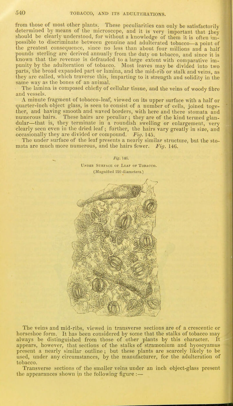 from those of most other plants. These peculiarities can only be satisfactorily determined by means of the microscope, and it is very important that they should be clearly understood, for without a knowledge of them it is often im- possible to discriminate between genuine and adulterated tobacco—a point ot the greatest consequence, since no less than about four millions and a half pounds sterling are derived annually from the duty on tobacco, and since it is known that the revenue is defrauded to a large extent with comparative im- punity by the adulteration of tobacco. Most leaves may be divided into two parts, the broad expanded part or lamina, and the mid-rib or stalk and veins, as they are called, which traverse this, imparting to it strength and solidity in the same way as the bones of an animal. The lamina is composed chiefly of cellular tissue, and the veins of woody fibrc- and vessels. A minute fragment of tobacco-leaf, viewed on its upper surface with a half or quarter-inch object glass, is seen to consist of a number of cells, joined toge- ther, and having smooth and waved borders, with here and there stomata and numerous hairs. These hairs are peculiar ; they are of the kind termed glan- dular—that is, they terminate in a roundish swelling or enlargement, very clearly seen even in the dried leaf; further, the hairs vary greatly in size, and occasionally they are divided or compound. Fig. 145. The under surface of the leaf presents a nearly similar structure, but the sto- mata are much more numerous, and the hairs fewer. Fig. 146. Fig. 146. Under Surface of Leap of Tobacco. (Magnified 220 diameters.) The veins and mid-ribs, viewed in transverse sections are of a crescentic or horseshoe form. It has been considered by some that the stalks of tobacco may always be distinguished from those of other plants by this character. It appears, however, that sections of the stalks of stramonium and hyoscyamus present a nearly similar outline ; but these plants are scarcely likely to be used, under any circumstances, by the manufacturer, for the adulteration of tobacco. Transverse sections of the smaller veins under an inch object-glass present the appearances shown i,n the following figure :—