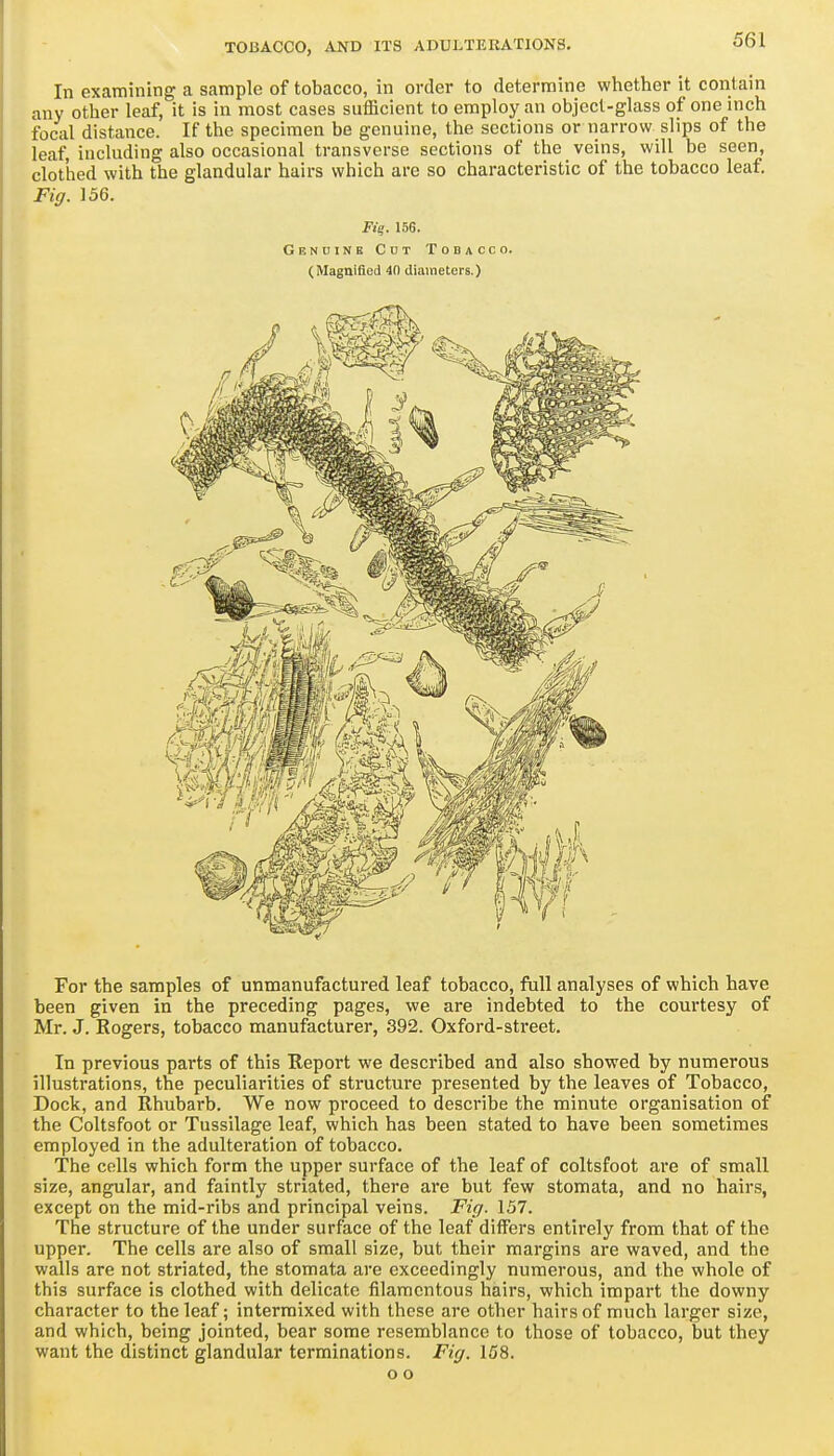 In examining a sample of tobacco, in order to determine whether it contain any other leaf, it is in most cases sufficient to employ an object-glass of one inch focal distance. If the specimen be genuine, the sections or narrow slips of the leaf, including also occasional transverse sections of the veins, will be seen, clothed with the glandular hairs which are so characteristic of the tobacco leaf. Fig. 156. Fiq. 156. Genuine Cut Tobacco. (Magnified 40 diameters.) For the samples of unmanufactured leaf tobacco, fiill analyses of which have been given in the preceding pages, we are indebted to the courtesy of Mr. J. Rogers, tobacco manufacturer, 392. Oxford-street. In previous parts of this Report we described and also showed by numerous illustrations, the peculiarities of structure presented by the leaves of Tobacco, Dock, and Rhubarb. We now proceed to describe the minute organisation of the Coltsfoot or Tussilage leaf, which has been stated to have been sometimes employed in the adulteration of tobacco. The cells which form the upper surface of the leaf of coltsfoot are of small size, angular, and faintly striated, there are but few stomata, and no hairs, except on the mid-ribs and principal veins. Fig. 157. The structure of the under surface of the leaf differs entirely from that of the upper. The cells are also of small size, but their margins are waved, and the walls are not striated, the stomata are exceedingly numerous, and the whole of this surface is clothed with delicate filamentous hairs, which impart the downy character to the leaf; intermixed with these are other hairs of much larger size, and which, being jointed, bear some resemblance to those of tobacco, but they want the distinct glandular terminations. Fig. 158. o o