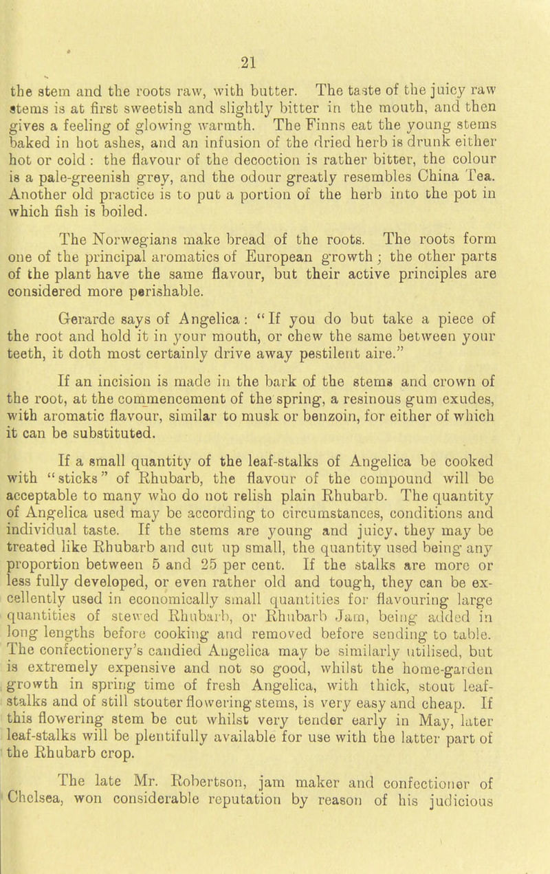the stem and the roots raw, with butter. The taste of the juicy raw stems is at first sweetish and slightly bitter in the mouth, and then gives a feeling of glowing warmth. The Finns eat the young stems baked in hot ashes, and an infusion of the dried herb is drunk either hot or cold : the flavour of the decoction is rather bitter, the colour is a pale-greenish grey, and the odour greatly resembles China Tea. Another old practice is to put a portion of the herb into the pot in which fish is boiled. The Norwegians make bread of the roots. The roots form one of the principal aromatics of European growth ; the other parts of the plant have the same flavour, but their active principles are considered more perishable. Gerarde says of Angelica: If you do but take a piece of the root and hold it in your mouth, or chew the same between your teeth, it doth most certainly drive away pestilent aire. If an incision is made in the bark of the stems and crown of the root, at the commencement of the spring, a resinous gum exudes, with aromatic flavour, similar to musk or benzoin, for either of which it can be substituted. If a small quantity of the leaf-stalks of Angelica be cooked with  sticks of Rhubarb, the flavour of the compound will be acceptable to many who do not relish plain Rhubarb. The quantity of Angelica used may be according to circumstances, conditions and individual taste. If the stems are young and juicy, they may be treated like Rhubarb and cut up small, the quantity used being any proportion between 5 and 25 per cent. If the stalks are more or less fully developed, or even rather old and tough, they can be ex- cellently used in economically small quantities for flavouring large quantities of stewed Rhubarb, or Rhubarb Jam, being added in long lengths before cooking and removed before sending to table. The confectionery's candied Angelica may be similarly utilised, but is extremely expensive and not so good, whilst the home-garden growth in spring time of fresh Angelica, with thick, stout leaf- stalks and of still stouter flowering stems, is very easy and cheap. If this flowering stem be cut whilst very tender early in May, later leaf-stalks will be plentifully available for use with the latter part of the Rhubarb crop. The late Mr. Robertson, jam maker and confectioner of Chelsea, won considerable reputation by reason of his judicious