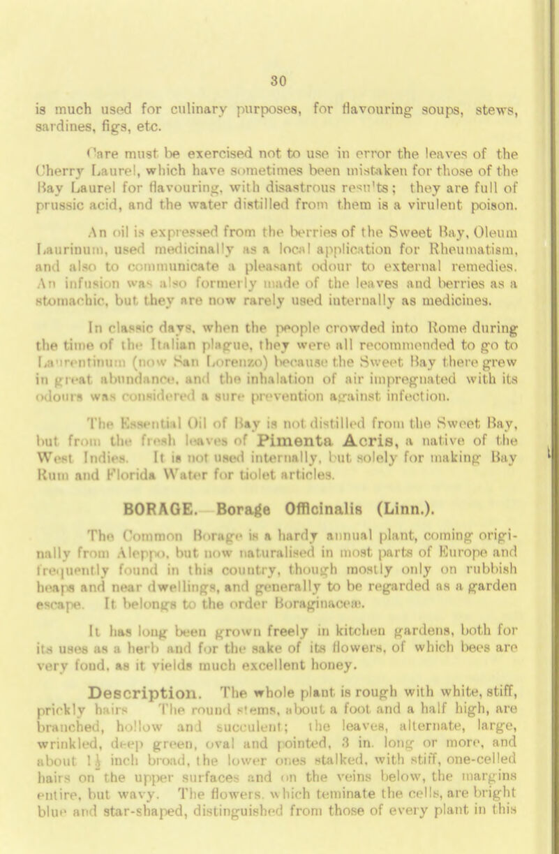 is much used for culinary purposes, for flavouring soups, stews, sardines, figs, etc. Care must lie exercised not to use in error the leaves of the ('herry Laurel, which have sometimes been mistaken for those of the Hay Laurel for flavouring, with disastrous results J they are full of prussic acid, and the water distilled from them is a virulent poison. An oil is expressed from the berries of the Sweet Hay, Oleum Laurinum, used medicinally as a low! application for Rheumatism, ami also to OOmtnunicate a pleasant odour to external remedies. An infi]si.,n ua- alto formerly made of the leaves and berries as a stomachic, but they are now rarely used internally as medicines. In classic days, when the people crowded into Home during the time of the Italian plague, they were all recommended to go to Li 'i ntinu : (now San Lorenzo) because the Sweet Hay there grew ineii-at abundance, and the inhalation of air impregnated with its odours was considered a sure prevention against infection. The Essential Oil of Hay is not distilled from the Sweet Hay, but from the flesh leaves of Pimento Acris, a native of the West Indies It \n not used internally, but solely for making Hay Hum and Florida Water for tiolet articles. BORAGE. Borage Officinalis (Linn.). The Common Borage is a hardy annual plant, coining origi- nallv from Aleppo, but now naturalised in most parts of Europe and lie,|iiently found in this country, though mostly only on rubbish heaps and near dwellings, and generally to be regarded as a garden escape. It belongs to the order Boraginaces. It has long been grown freely in kitchen gardens, both for i:s use.s as a hei li and for the sake of its flowers, 01 which beet are very fond, as it vields much excellent honey. Description. The whole plant is rough with white, stiff, prickly hairs The round ^'im, ;ibout a foot and a half high, are branched, hollow and succulent; the leaves, alternate, large, wrinkled, deep green, oval and pointed, 8 in. long or more, and about 1£ inch broad, the lower ones stalked, with stiff, one-celled hairs on the upper surfaces and on the veins below, the margins entire, but wavy. The flowers which teminate the cells, are bright blue and star-shaped, distinguished from those of every plant in this