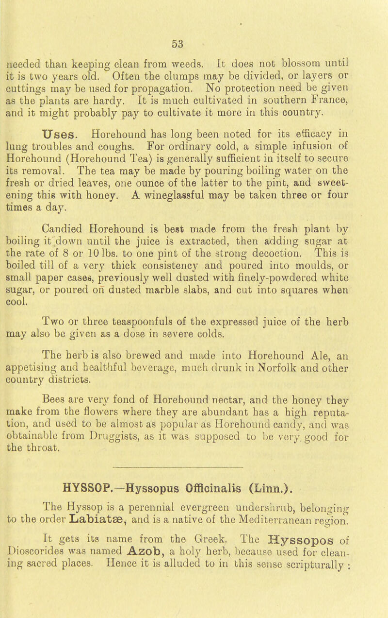 needed than keeping clean from weeds. It does not blossom until it is two years old. Often the clumps may be divided, or layers or cuttings may be used for propagation. No protection need be given as the plants are hardy. It is much cultivated in southern France, and it might probably pay to cultivate it more in this country. Uses. Horehound has long been noted for its efficacy in lung troubles and coughs. For ordinary cold, a simple infusion of Horehound (Horehound Tea) is generally sufficient in itself to secure its removal. The tea may be made by pouring boiling water on the fresh or dried leaves, one ounce of the latter to the pint, and sweet- ening this with honey. A wineglassful may be taken three or four times a day. Candied Horehound is best made from the fresh plant by boiling it down until the juice is extracted, then adding sugar at the rate of 8 or 10 lbs. to one pint of the strong decoction. This is boiled till of a very thick consistency and poured into moulds, or small paper cases, previously well dusted with finely-powdered white sugar, or poured on dusted marble slabs, and cut into squares when cool. Two or three teaspoonfuls of the expressed juice of the herb may also be given as a dose in severe colds. The herb is also brewed and made into Horehound Ale, an appetising and healthful beverage, much drunk in Norfolk and other country districts. Bees are very fond of Horehound nectar, and the honey they make from the flowers where they are abundant has a high reputa- tion, and used to be almost as popular as Horehound candy, and was obtainable from Druggists, as it was supposed to be very, good for the throat. HYSSOP.—Hyssopus Officinalis (Linn.). The Hyssop is a perennial evergreen undershrnb, belonging to the order Labiatse^ and is a native of the Mediterranean region. It gets its name from the Greek. The Hyssopos of Dioscorides was named Azob, a holy herb, because used for clean- ing sacred places. Hence it is alluded to in this sense scripturally :