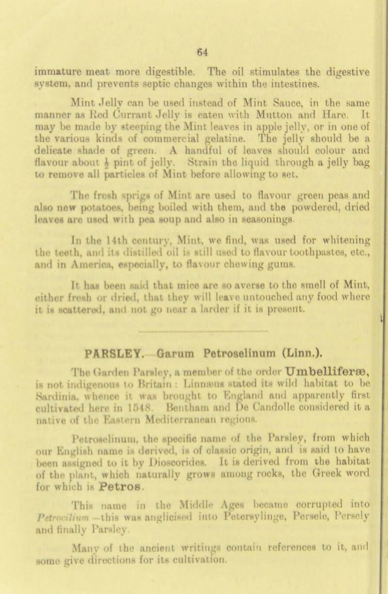 immature meat more digestible. The oil stimulates the digestive system, and prevents septic changes within the intestines. Mint Jelly can be used instead of Mint Sauce, in the same manner as Red Currant Jelly is eaten with Mutton and Hare. It may be made by steeping llie Mint leaves in apple jelly, or in one of the various kinds of commercial gelatine. The jelly should be a delicate shade of green. A handful of leaves should colour and flavour about A pint of jelly. Strain the liquid through a jelly bag to remove all particles of Mint before allowing to set. The fresh sprigs of Mint are used to flavour green peas and also new potatoes, being boiled with them, and the powdered, dried leaves are used with pea soup and also in seasonings. In the 11th century. Mint, we find, was used for whitening the teeth, and its distilled oil is still used to flavour toothpastes, etc., and in America, especially, to flax our chewing gums. It lias been said thai mine arc so averse to the smoll of Mint, cither fresh oi dried, that they will leave untouched any food where it is scattered, ami not go near a larder if it is present. PARSLEY. Garum Petroselinum (Linn.). The < iarden Parsley, a member of the order Umbelliferee, is not indigenous to Hritain : Linmcus stated its wild habitat to bo Sardinia, whence it whs brought to Kngland and apparently first cultivated here in IMS. Ilenthain and I>c Candollc considered it a native of the Eastern Mediterranean regions. PetroBelinum, the specific name of the Parsley, from which our English name is derived, is of classic origin, and is said to have he.mi a.-iuned mil by I >io>cori< les. 11 is derived from the habitat, of the plant, which naturally grows among rocks, the Greek word for which is PetroB. This name in the Middle Ages became corrupted into Prtrnn'lium —this was anglicised into Petersylingc, Persele, Tersely and finally Parsley. Manv of ih ancient writings contain references m it, and some give directions for its cultivation.