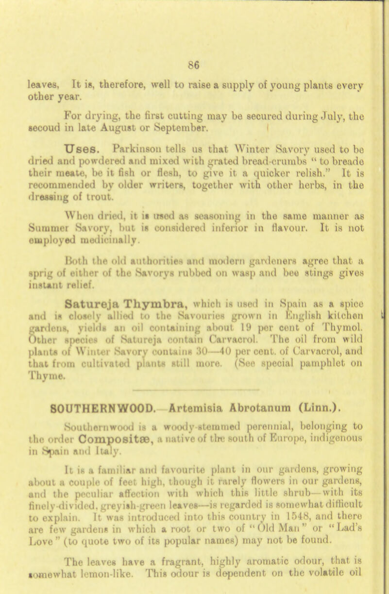 leaves, It is, therefore, well to raise a supply of young plants every other year. For drying, the first cutting may bo secured during July, the secoud in late August or September. I Uses. Parkinson tells us that Winter Savory used to be dried and powdered and mixed with grated bread-crumbs  to breado their meate, be it fish or flesh, to give it a quicker relish. It is recommended by older writers, together with othor herbs, in the dressing of trout. Win n dried, it is twod as seasoning in tho same manner as Summer Savory, but is considered inferior in flavour. It is not employed medicinally Both the did authorities and modern gardeners agree that a sprig of either of the Savorys rubbed on wasp ami bee stings givos instant relief. Satureja Thyinbra, which is used in Spain as a ipioe and is closely allied to the Savouries grown in English kitchen gardens, yields an oil containing about 19 per cent of Thymol. Other species of Satureja contain Carvacrol. The oil from wild plants <»f Winter Savory contains 30—40 percent, of Carvacrol, and that from cultivated phnts still more. (See special patnphlot on Thyme. 80UTHERNWOOD. Artemisia Abrotanum (Linn.). Southernwood is a woody stemmed perennial, belonging to the order Compositee, ■ native of the south of Europe, indigenous in Spain and Italy. It is a familiar and favourite plant in our gardons, growing about a couple of feet high, though it rarely flowers in our gardens, and the peculiar affection with which this little shrub—with its finely-divided, grevish-grecn leaves—is regarded is somewhat difficult to explain. It was introduced into this country in 1548, and there are few gardens in which a root or two of  Old Man  or  Lad's Love  (to quote two of its popular names) may not be found. The leaveB have a fragrant, highly aromatic odour, that is somewhat lemon like. This odour is dependent on the volatile oil