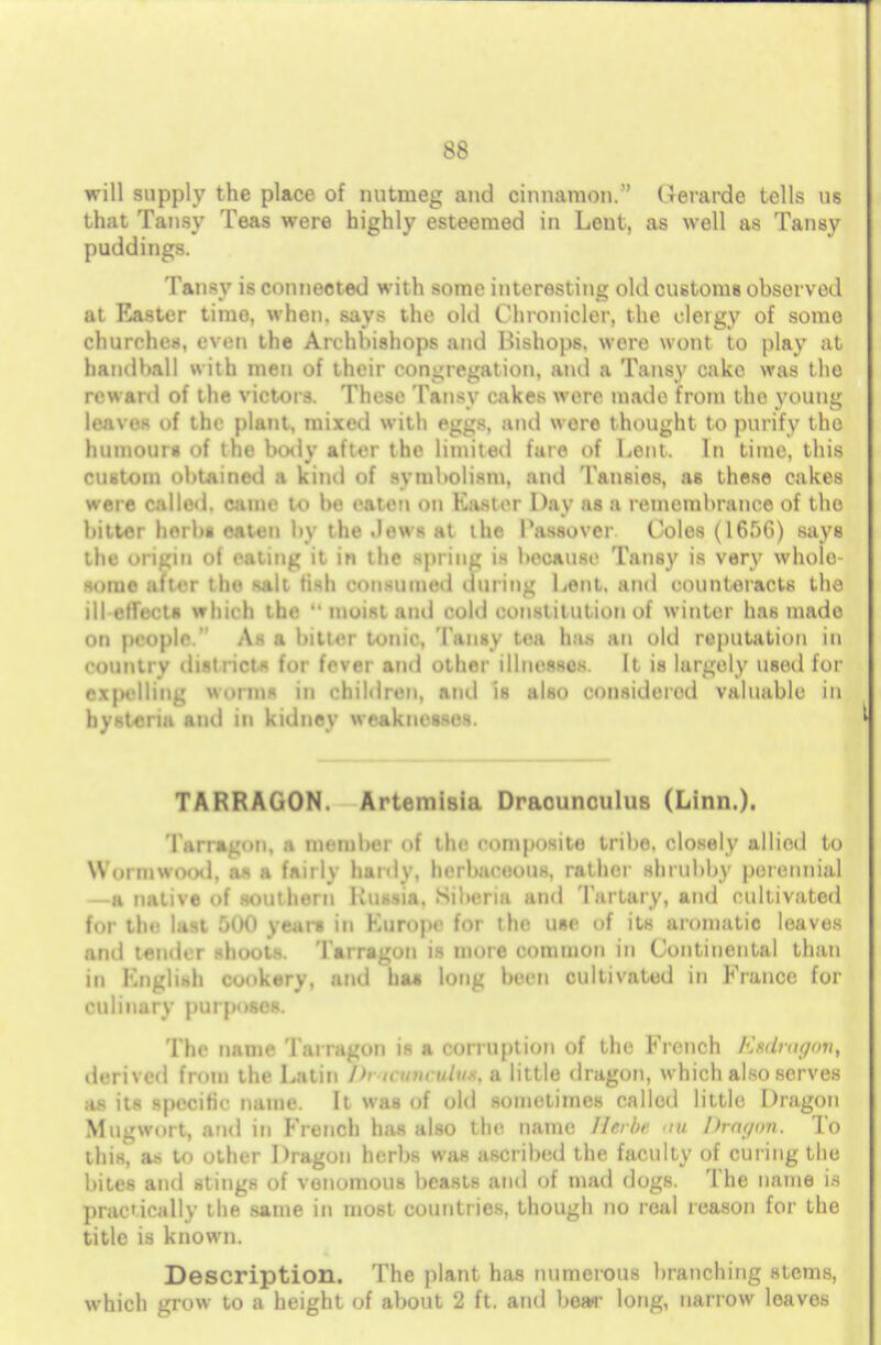 will supply the place of nutmeg and cinnamon. Gerarde tells us that Tansy Teas were highly esteemed in Lent, as well as Tansy puddings. Tansy is connected with some interesting old customs observed at Easter time, when, says the old Chronicler, the clergy of some churches, even the Archbishops and Bishops, were wont to play at handbill with men of their congregation, and a Tansy cake was the reward of the victors. These Tansy cakes were made from the young leaves nf the plant, mixed with eggs, and were thought to purify the humour* <>f the body after the limited fare of Lent. In time, this custom obtained a kind of symbolism, and Tansies, as these cakes .•.fie called, came to be eaten on Kastei Day as a remembrance of the bitter herbs eaten by the Jews at the Passover Coles (1656) says the origin of eating it in the spring is because Tansy is very whole some after the salt ti-h consumed during Lent, and counteracts the ill effecth which the  moist and cold constitution ol winter has made on people ' As a bitter tonic. Tansy tea has an old reputation in country district* for fever and other illnesses. It is largely used for expelling worms in children, anil is also considered valuable in hysteria and in kidney weaknesses. TARRAGON. Artemisia Draounculus (Linn.). Tarragon, a member of the composite tribe, closely allied to Wormwood, as a fairly hardy, herbaceous, rather shrubby perennial —a native of southern Russia, Siberia and Tartary, and ctdtivated for the last 500 years in Kurope for the use of its aromatic leaves and tender shoots. Tarragon is more common in Continental than in Knglish cookery, and has long been cultivated in France for culinary purposes. The name Tarragon is a Corruption of the French Etdragoiiy derived from the Latin I>> u um-ulus, a little dragon, which also serves as its specific name It was of old sometimes called little Dragon Mugwort, and in French has also the name Herb? an DtOffon. To this, as to other Dragon herbs was ascribed the faculty of curing the bites and stings of venomous beasts and of mad dogs. The name is practically the same in most countries, though no real reason for the title is known. Description. The plant has numerous branching stems, which grow to a height of about 2 ft. and boar long, narrow leaves