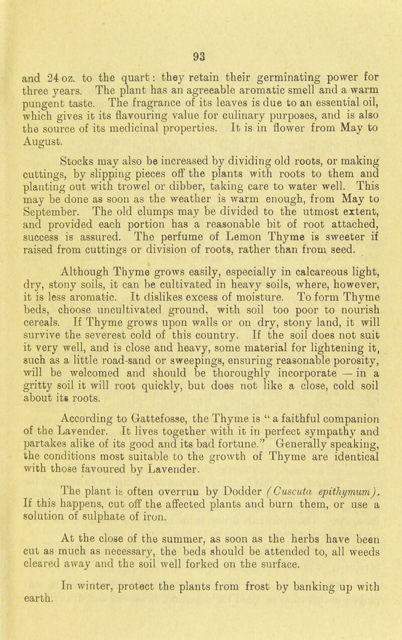 and 24 oz. to the quart: they retain their germinating power for three years. The plant has an agreeable aromatic smell and a warm pungent taste. The fragrance of its leaves is due to an essential oil, which gives it its flavouring value for culinary purposes, and is also the source of its medicinal properties. It is in flower from May to August. Stocks may also be increased by dividing old roots, or making cuttings, by slipping pieces off the plants with roots to them and planting out with trowel or dibber, taking care to water well. This may be done as soon as the weather is warm enough, from May to September. The old clumps may be divided to the utmost extent, and provided each portion has a reasonable bit of root attached, success is assured. The perfume of Lemon Thyme is sweeter if raised from cuttings or division of roots, rather than from seed. Although Thyme grows easily, especially in calcareous light, dry, stony soils, it can be cultivated in heavy soils, where, however, it is less aromatic. It dislikes excess of moisture. To form Thyme beds, choose uncultivated ground, with soil too poor to nourish cereals. If Thyme grows upon walls or on dry, stony land, it will survive the severest cold of this country. If the soil does not suit it very well, and is close and heavy, some material for lightening it, such as a little road-sand or sweepings, ensuring reasonable porosity, will be welcomed and should be thoroughly incorporate — in a gritty soil it will root quickly, but does not like a close, cold soil about its roots. According to Gattefosse, the Thyme is  a faithful companion of the Lavender. It lives together with it in perfect sympathy and partakes alike of its good and its bad fortune. Generally speaking, the conditions most suitable to the growth of Thyme are identical with those favoured by Lavender. The plant it often overrun by Dodder (Cuscuta epithymum). If this happens, cut off the affected plants and burn them, or use a solution of sulphate of iron. At the close of the summer, as soon as the herbs have been cut as much as necessary, the beds should be attended to, all weeds cleared away and the soil well forked on the surface. In winter, protect the plants from frost by banking up with earth.