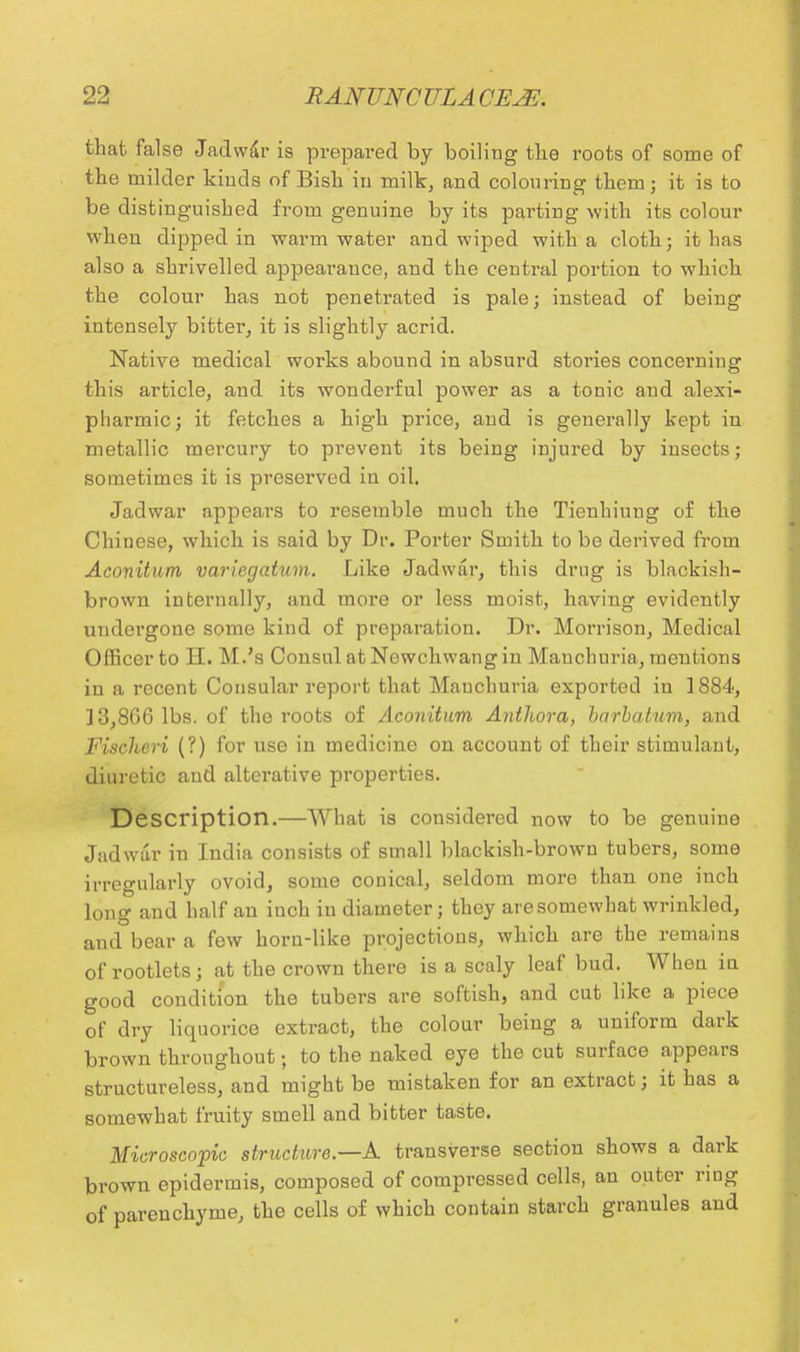 that false Jadwar is prepared by boiling the roots of some of the milder kinds of Bish in milk, and colouring them; it is to be distinguished from genuine by its parting with its colour when dipped in warm water and wiped with a cloth; it has also a shrivelled appearauce, and the central portion to which the colour has not penetrated is pale; instead of being intensely bitter, it is slightly acrid. Native medical works abound in absurd stories concerning this article, and its wonderful power as a tonic and alexi- pharmic; it fetches a high price, and is generally kept in metallic mercury to prevent its being injured by insects; sometimes it is preserved in oil. Jadwar appears to resemble much the Tienhiung of the Chinese, which is said by Dr. Porter Smith to be derived from Aconitum varlegatum. Like Jadwar, this drug is blackish- brown internally, and more or less moist, having evidently undergone some kind of preparation. Dr. Morrison, Medical Officer to H. M.'s Consul at Newchwang in Manchuria, mentions in a recent Consular report that Mauchuria exported in 1884, ]3,8G6 lbs. of the roots of Aconitum Anthora, barbatnm, and Fischeri (?) for use in medicine on account of their stimulant, diuretic and alterative properties. Description.—What is considered now to be genuine Jadwar in India consists of small blackish-brown tubers, some irregularly ovoid, some conical, seldom more than one inch long and half an inch in diameter; they aresomewhat wrinkled, and bear a few horn-like projections, which are the remains of rootlets; at the crown there is a scaly leaf bud. When in good condition the tubers are softish, and cut like a piece of dry liquorice extract, the colour being a uniform dark brown throughout; to the naked eye the cut surface appears structureless, and might be mistaken for an extract; it has a somewhat fruity smell and bitter taste. Microscopic structure—A transverse section shows a dark brown epidermis, composed of compressed cells, an outer ring of parenchyme, the cells of which contain starch granules and
