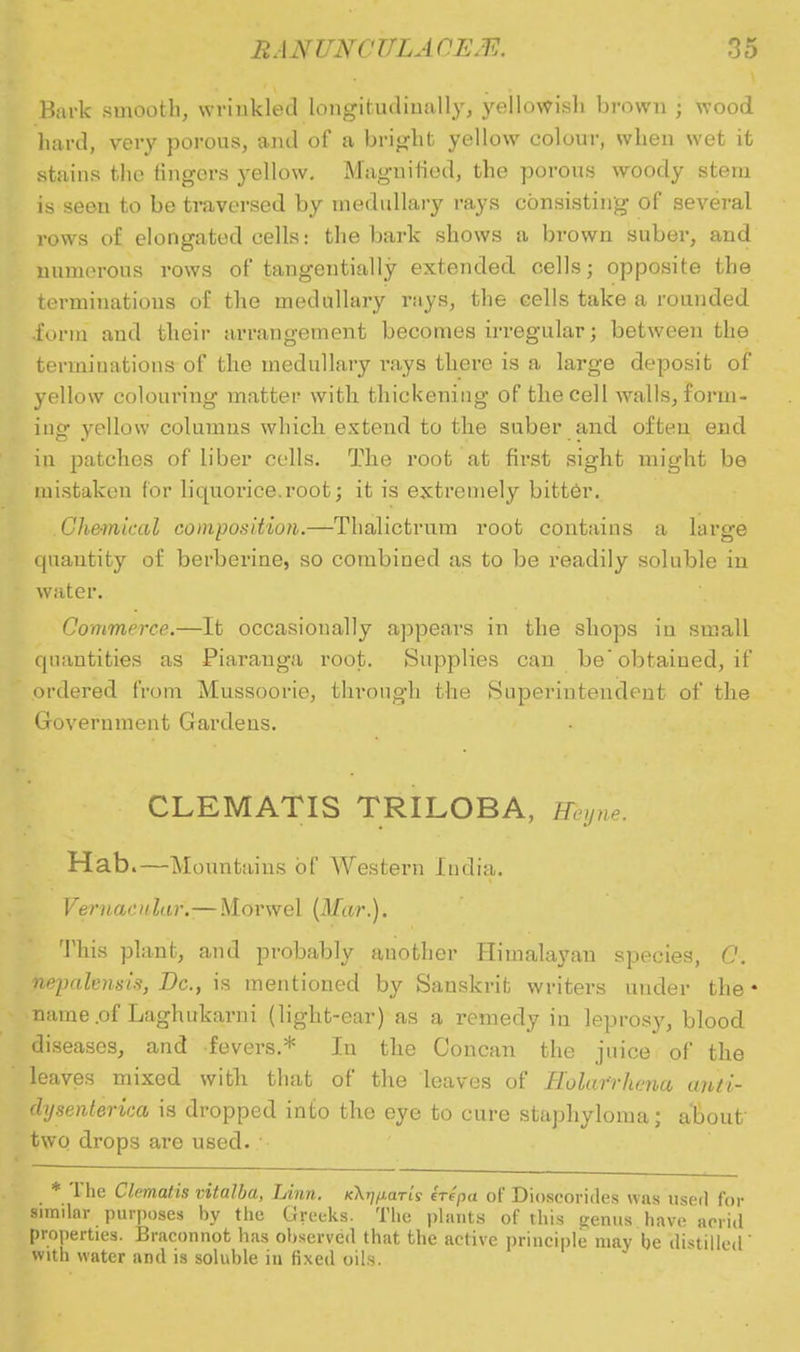 Bark .smooth, wrinkled longitudinally, yellowish brown ; wood hard, very porous, and of a bright yellow colour, when wet it stains the lingers yellow. Magnified, the porous woody stem is seen to be traversed by medullary rays consisting of several rows of elongated cells: the bark shows a brown suber, and numerous rows of tangentially extended cells; opposite the terminations of the medullary rays, the cells take a rounded •form and their arrangement becomes irregular; between the terminations of the medullary rays there is a large deposit of yellow colouring matter with thickening of the cell walls, form- ing yellow columns which extend to the suber and often end in patches of liber cells. The root at first sight might be mistaken for liquorice.root; it is extremely bitter. Chemical composition.—Thalictrum root contains a large quantity of berberine, so combined as to be readily soluble in water. Commerce.—It occasionally appears in the shops in small quantities as Piaranga root. Supplies can be obtained, if ordered from Mussoorie, through the Superintendent of the Government Gardens. CLEMATIS TRILOBA, Heyne. Hab.—Mountains of Western India. Vernacular.— Morwel (Mar.). This plant, and probably another Himalayan species, C. nepalensis, Dc, is mentioned by Sanskrit writers under the • name .of Laghukarni (light-ear) as a remedy in leprosy, blood diseases, and fevers.* In the Concan the juice of the leaves mixed with that of the leaves of Molafrhena auti- chjsenterka is dropped into the eye to cure staphyloma; about two drops are used. * The Clematis vitalba, Linn. /cX^/xariy (tipa of Dioscorides wns used for similar purposes by the Greeks. The plants of this genus have acrid properties. Braconnot has observed that the active principle may be distilled' with water and is soluble in fixed oils.