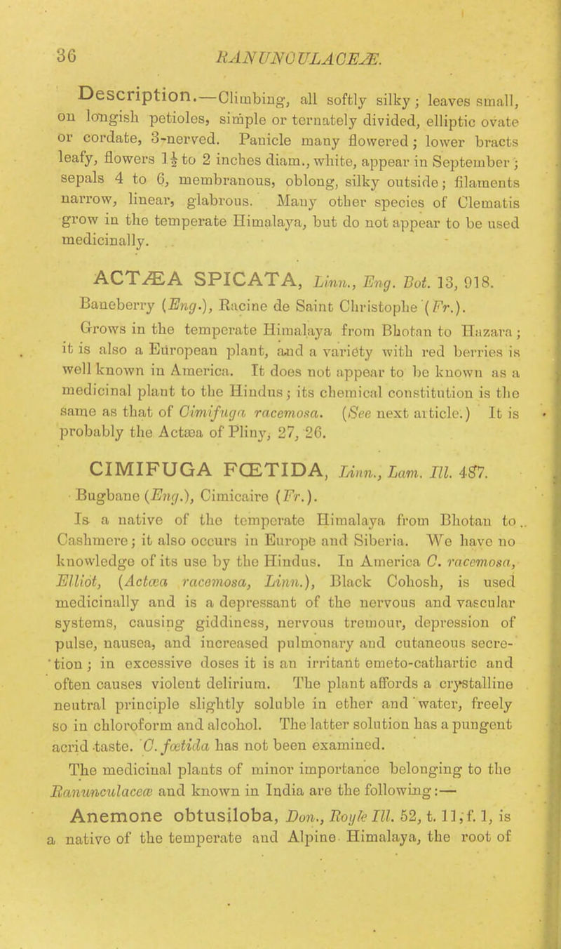 Description. —Climbing, all softly silky; leaves small, on longish petioles, simple or tornately divided, elliptic ovate or cordate, 3-nerved. Panicle many flowered ; lower bracts leafy, flowers ] \ to 2 inches diam., white, appear in September j sepals 4 to 6, membranous, oblong, silky outside; filaments narrow, linear, glabrous. Many other species of Clematis grow in the temperate Himalaya, but do not appear to be used medicinally. ACT^EA SPICATA, Linn,, Eng. Bot. 13, 918. Baneberry {Eng.), Racine de Saint Christophe'(/<>.). Grows in the temperate Himalaya from Bhotan to Hazara ; it is also a European plant, and a variety with red berries is well known in America. It does not appear to be known as a medicinal plant to the Hindus; its chemical constitution is the same as that of Cimifuga racemofta. (See next article.) It is probably the Aetata of Pliny, 27, 26. CIMIFUGA FCETIDA, Linn., Lam. III. 437. Bugbane {Eng.), Cimicaire (Ft,). Is a native of the temperate Himalaya from Bhotan to.. Cashmere; it also occurs in Europe and Siberia. We have no knowledge of its use by the Hindus. In America C. racemosa, Elliot, (Actcea racemosa, Linn.), Black Cohosh, is used medicinally and is a depressant of the nervous and vascular systems, causing giddiness, nervous tremour, depression of pulse, nausea, and increased pulmonary and cutaneous secre- 'tion; in excessive doses it is an irritant emeto-cathartic and often causes violeut delirium. The plant affords a crystalline neutral principle slightly soluble in ether and'water, freely so in chloroform and alcohol. The latter solution has a pungent acrid taste. C.fcetida has not been examined. The medicinal plants of minor importance belonging to the Ranunculacca and known in India are the following:— Anemone obtusiloba, Dun., Roy k III. 52, t. 11,-f. 1, is a native of the temperate and Alpine Himalaya, the root of