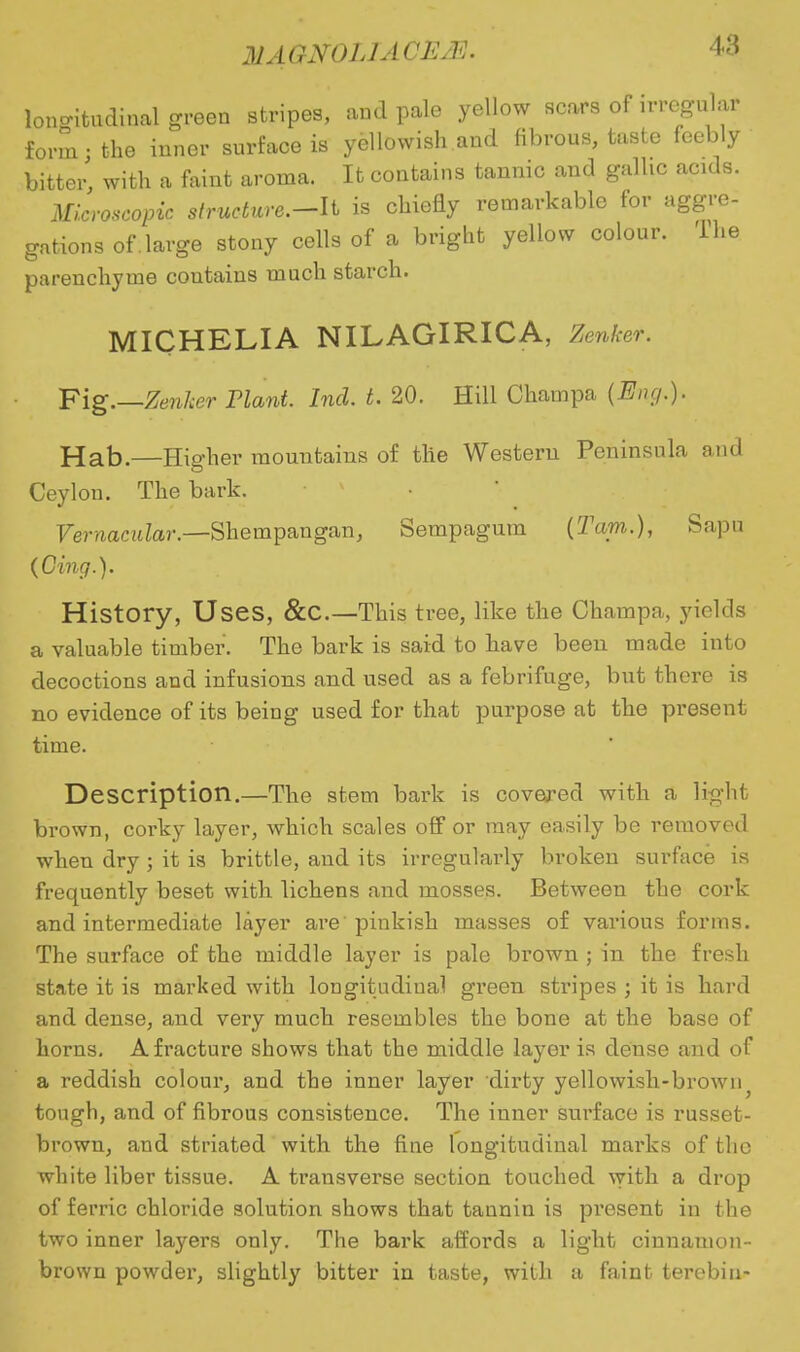 MA GNOLJA CE/E. longitudinal green stripes, and pale yellow scars of irregular form; the inner surface is yellowish and fibrous, taste feebly bitter, with a faint aroma. It contains tannic and gallic acids. Microscopic structure.-n is chiefly remarkable for aggre- gations of.large stony cells of a bright yellow colour. The parenchyme contains much starch. MICHELIA NILAGIRICA, Zenker. Fig.—Zenker Plant. Incl. t. 20. Hill Champa (Eng.). Hab.—Higher mountains of the Western Peninsula and Ceylon. The bark. Vernacular.—Shempangan, Sempagum (Tarn.), Sapu (Oing.). History, Uses, &C—This tree, like the Champa, yields a valuable timber. The bark is said to have been made into decoctions and infusions and used as a febrifuge, but there is no evidence of its being used for that purpose at the pi-esent time. Description.—The stem bark is covered with a light brown, corky layer, which scales off or may easily be removed when dry ; it is brittle, and its irregularly broken surface is frequently beset with lichens and mosses. Between the cork and intermediate layer are pinkish masses of various forms. The surface of the middle layer is pale brown ; in the fresh state it is marked with longitudinal green stripes ; it is hard and dense, and very much resembles the bone at the base of horns. A fracture shows that the middle layer is dense and of a reddish colour, and the inner layer dirty yellowish-brown^ tough, and of fibrous consistence. The inner surface is russet- brown, and striated with the fine longitudinal marks of the white liber tissue. A transverse section touched with a drop of ferric chloride solution shows that tannin is present in the two inner layers only. The bark affords a light cinnamon- brown powder, slightly bitter in taste, with a faint terebiu-