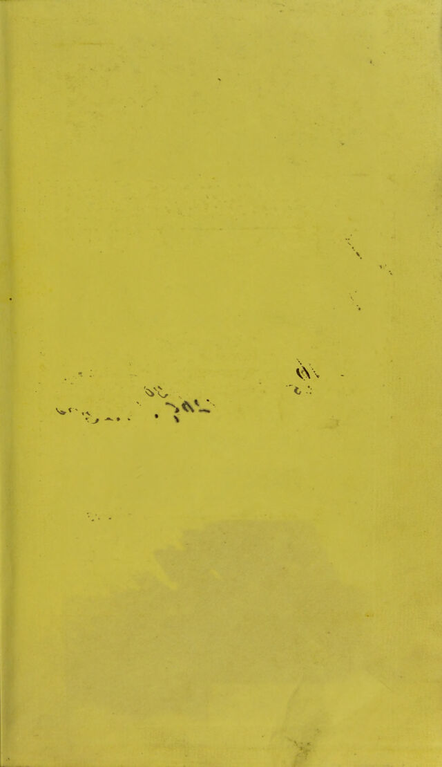digitised image 3