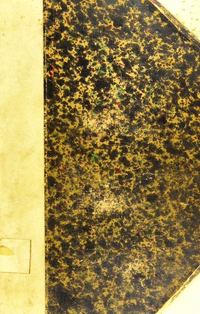 No text description is available for this image