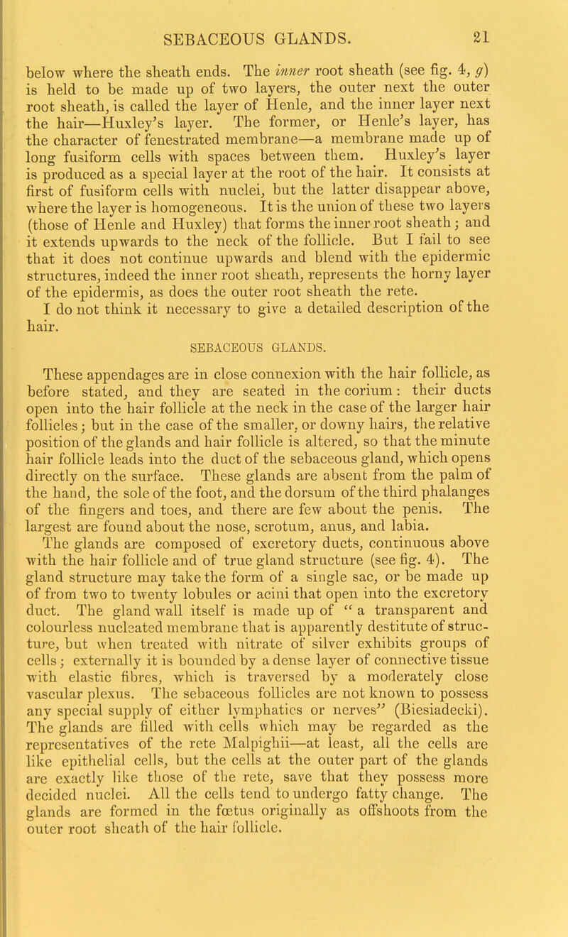 below where the sheath ends. The inner root sheath (see fig. 4, g) is held to be made up of two layers, the outer next the outer root sheath, is called the layer of Henle, and the inner layer next the hair—Huxley's layer. The former, or Henle's layer, has the character of fenestrated membrane—a membrane made up of long fusiform cells with spaces between them. Huxley's layer is produced as a special layer at the root of the hair. It consists at first of fusiform cells with nuclei, but the latter disappear above, where the layer is homogeneous. It is the union of these two layers (those of Henle and Huxley) that forms the inner root sheath; and it extends upwards to the neck of the follicle. But I fail to see that it does not continue upwards and blend with the epidermic structures, indeed the inner root sheath, represents the horny layer of the epidermis, as does the outer root sheath the rete. I do not think it necessary to give a detailed description of the hair. SEBACEOUS GLANDS. These appendages are in close connexion with the hair follicle, as before stated, and they are seated in the corium: their ducts open into the hair follicle at the neck in the case of the larger hair follicles; but in the case of the smaller, or downy hairs, the relative position of the glands and hair follicle is altered, so that the minute hair follicle leads into the duct of the sebaceous gland, which opens directly on the surface. These glands are absent from the palm of the hand, the sole of the foot, and the dorsum of the third phalanges of the fingers and toes, and there are few about the penis. The largest are found about the nose, scrotum, anus, and labia. The glands are composed of excretory ducts, continuous above with the hair follicle and of true gland structure (see fig. 4). The gland structure may take the form of a single sac, or be made up of from two to twenty lobules or acini that open into the excretory duct. The gland wall itself is made up of  a transparent and colourless nucleated membrane that is apparently destitute of struc- ture, but when treated with nitrate of silver exhibits groups of cells; externally it is bounded by a dense layer of connective tissue with elastic fibres, which is traversed by a moderately close vascular plexus. The sebaceous follicles are not known to possess any special supply of either lymphatics or nerves (Biesiadecki). The glands are filled with cells which may be regarded as the representatives of the rete Malpighii—at least, all the cells are like epithelial cells, but the cells at the outer part of the glands are exactly like those of the rete, save that they possess more decided nuclei. All the cells tend to undergo fatty change. The glands are formed in the fcEtus originally as offshoots from the outer root sheath of the hair follicle.
