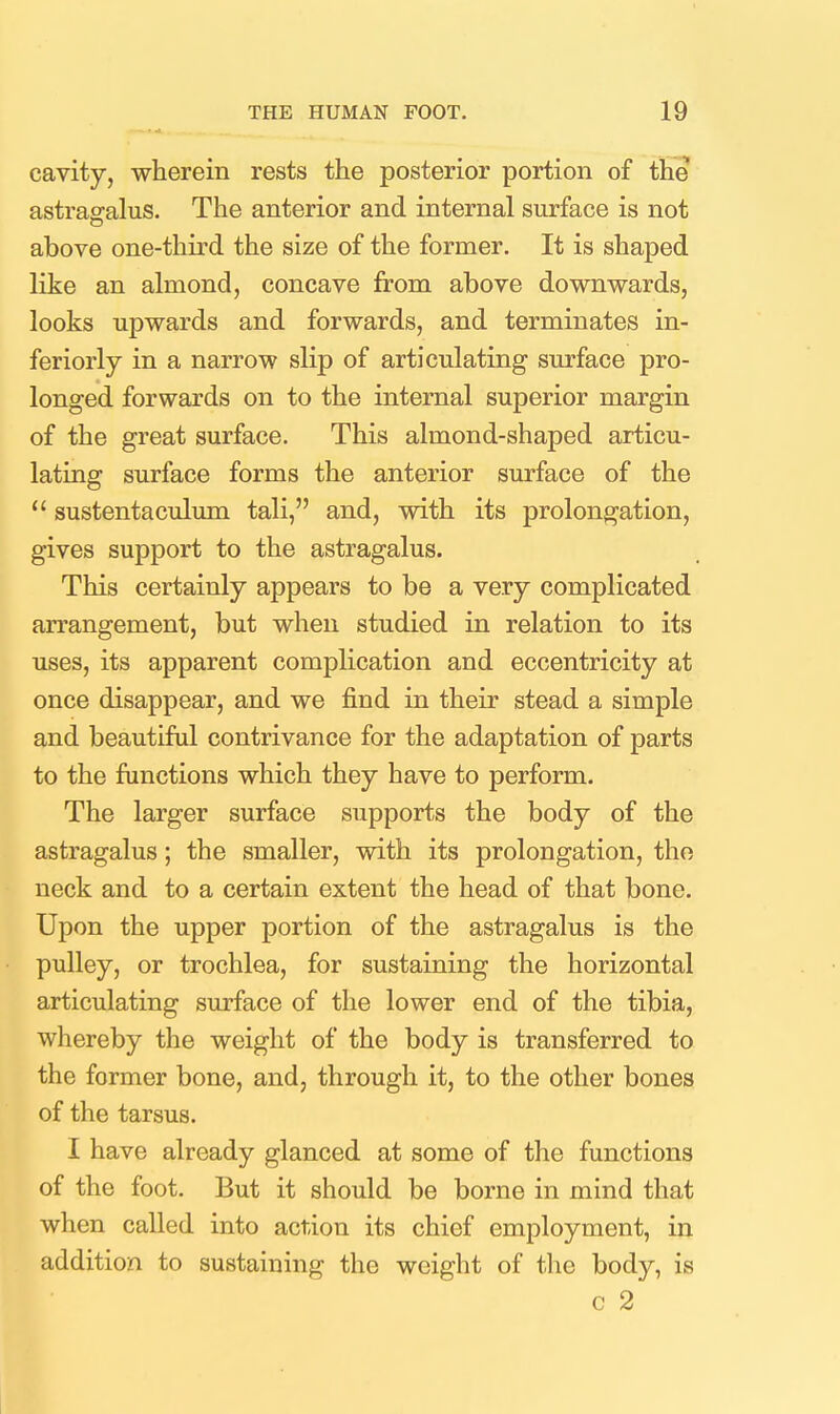 cavity, wherein rests the posterior portion of the astragalus. The anterior and internal surface is not above one-third the size of the former. It is shaped like an almond, concave from above downwards, looks upwards and forwards, and terminates in- feriorly in a narrow slip of articulating surface pro- longed forwards on to the internal superior margin of the great surface. This almond-shaped articu- lating surface forms the anterior surface of the  sustentaculum tali, and, with its prolongation, gives support to the astragalus. This certainly appears to be a very complicated arrangement, but when studied in relation to its uses, its apparent complication and eccentricity at once disappear, and we find in their stead a simple and beautiful contrivance for the adaptation of parts to the functions which they have to perform. The larger surface supports the body of the astragalus; the smaller, with its prolongation, the neck and to a certain extent the head of that bone. Upon the upper portion of the astragalus is the pulley, or trochlea, for sustaining the horizontal articulating surface of the lower end of the tibia, whereby the weight of the body is transferred to the former bone, and, through it, to the other bones of the tarsus. I have already glanced at some of the functions of the foot. But it should be borne in mind that when called into action its chief employment, in addition to sustaining the weight of the body, is c 2