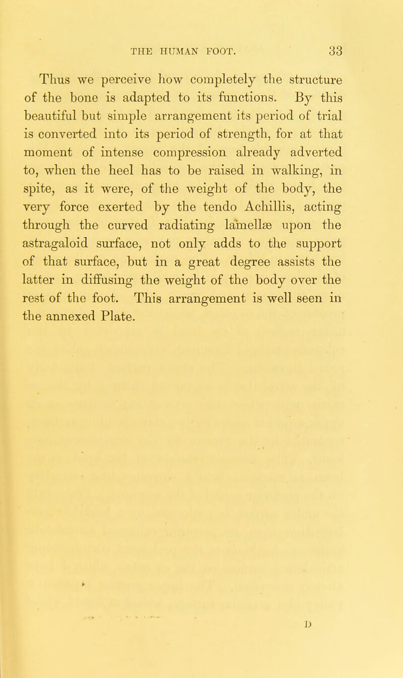 Thus we perceive how completely the structure of the bone is adapted to its functions. By this beautiful but simple arrangement its period of trial is converted into its period of strength, for at that moment of intense compression already adverted to, when the heel has to be raised in walking, in spite, as it were, of the weight of the body, the very force exerted by the tendo Achillis, acting through the curved radiating lamellae upon the astragaloid surface, not only adds to the support of that surface, but in a great degree assists the latter in diffusing the weight of the body over the rest of the foot. This arrangement is well seen in the annexed Plate. 1)