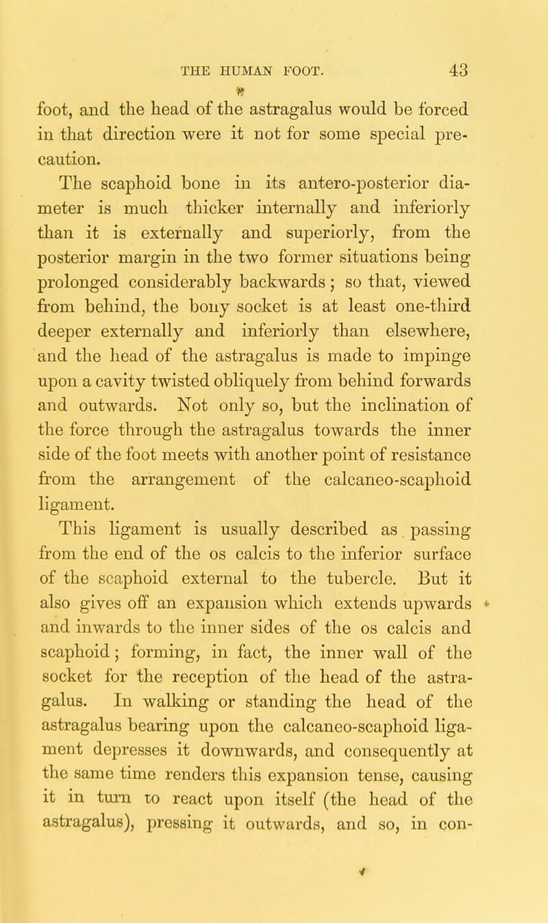 foot, and the head of the astragalus would be forced in that direction were it not for some special pre- caution. The scaphoid bone in its antero-posterior dia- meter is much thicker internally and inferiorly than it is externally and superiorly, from the posterior margin in the two former situations being prolonged considerably backwards; so that, viewed from behind, the bony socket is at least one-tliird deeper externally and inferiorly than elsewhere, and the head of the astragalus is made to impinge upon a cavity twisted obliquely from behind forwards and outwards. Not only so, but the inclination of the force through the astragalus towards the inner side of the foot meets with another point of resistance from the arrangement of the calcaneo-scaphoid ligament. This ligament is usually described as passing from the end of the os calcis to the inferior surface of the scaphoid external to the tubercle. But it also gives off an expansion which extends upwards * and inwards to the inner sides of the os calcis and scaphoid; forming, in fact, the inner wall of the socket for the reception of the head of the astra- galus. In walldng or standing the head of the astragalus bearing upon the calcaneo-scaphoid liga- ment depresses it downwards, and consequently at the same time renders this expansion tense, causing it in turn to react upon itself (the head of the astragalus), pressing it outwards, and so, in con- 4