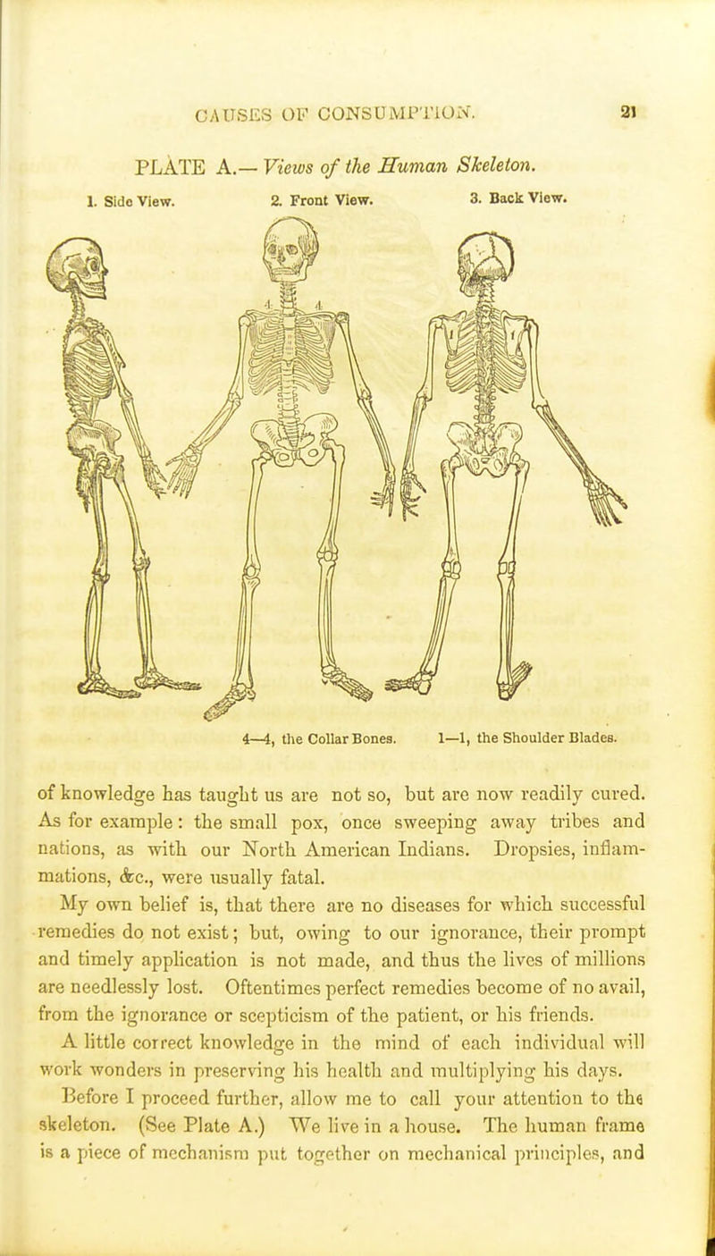 PLATE A.— Views of the Human Skeleton. \. Sido View. 2. Front View. 3. Back View. 4—1, the Collar Bones. 1—1, the Shoulder Blades. of knowledge has taught us are not so, but are now readily cured. As for example: the small pox, once sweeping away tribes and nations, as with our North American Indians. Dropsies, inflam- mations, (kc, were usually fatal. My own belief is, that there are no diseases for which successful remedies do not exist; but, owing to our ignorance, their prompt and timely application is not made, and thus the lives of millions are needlessly lost. Oftentimes perfect remedies become of no avail, from the ignorance or scepticism of the patient, or his friends. A little correct knowledge in the mind of each individual will work wonders in preserving his health and multiplying his days. Before I proceed further, allow me to call your attention to the skeleton. (See Plate A.) We hve in a house. The human frame is a piece of mechanism put together on mechanical principles, and