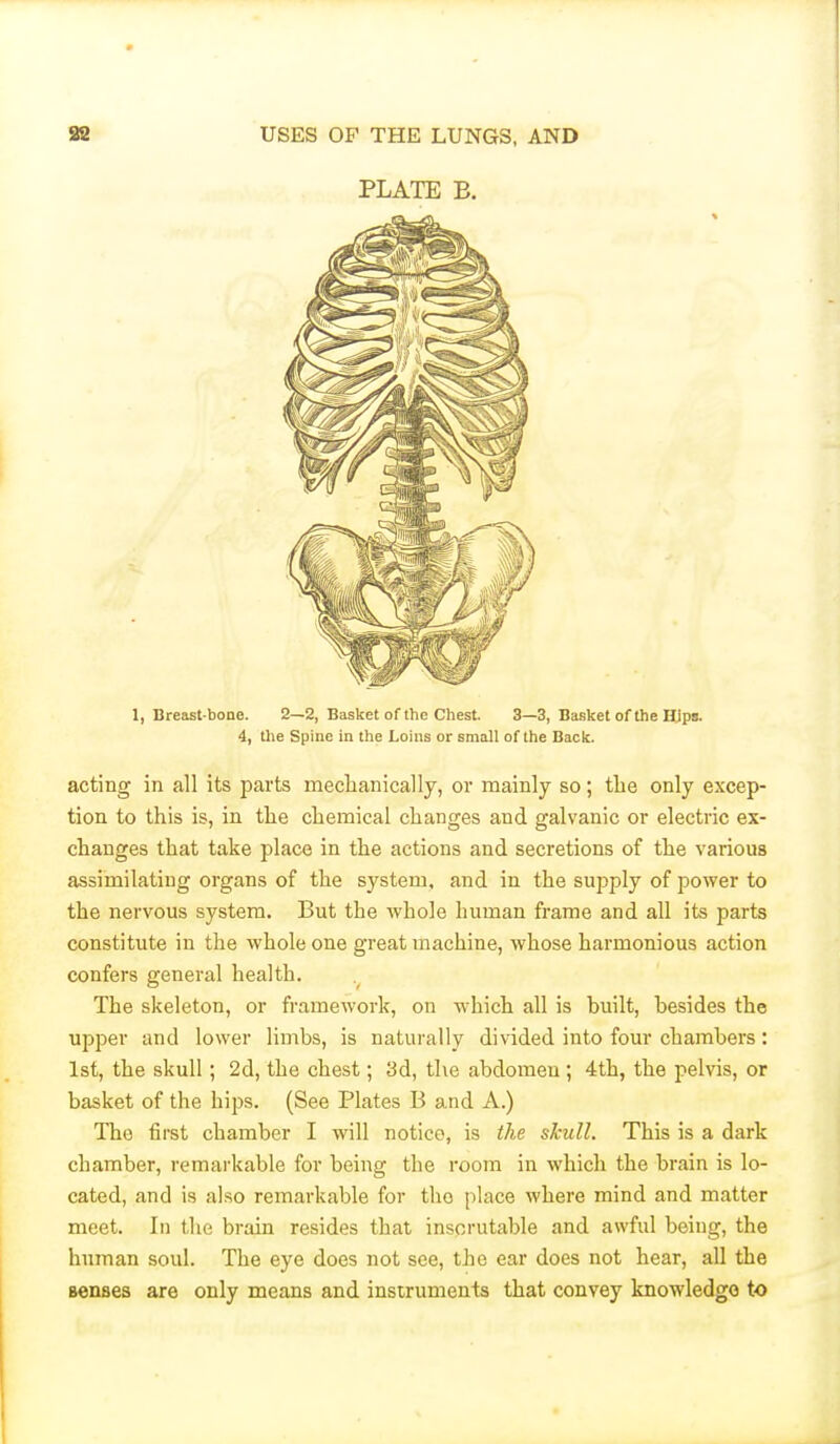 PLATi; B. 1, Breast-bone. 2—2, Basket of the Chest. 3—3, Basket of the Hips. 4, the Spine in the Loins or small of the Back. acting in all its parts meclianically, or mainly so; tlie only excep- tion to this is, in tlie chemical changes and galvanic or electric ex- changes that take place in the actions and secretions of the various assimilating organs of the system, and in the supply of power to the nervous system. But the whole human frame and all its parts constitute in the whole one great machine, whose harmonious action confers general health. The skeleton, or framework, on which all is built, besides the upper and lower limbs, is naturally divided into four chambers: 1st, the skull; 2d, the chest; 3d, the abdomen; 4th, the pelvis, or basket of the hips. (See Plates B and A.) The first chamber I will notice, is the skull. This is a dark chamber, remarkable for being the room in which the brain is lo- cated, and is also remarkable for the place where mind and matter meet. In the brain resides that inscrutable and awful being, the human soul. The eye does not see, the ear does not hear, all the senses are only means and instruments that convey knowledge to