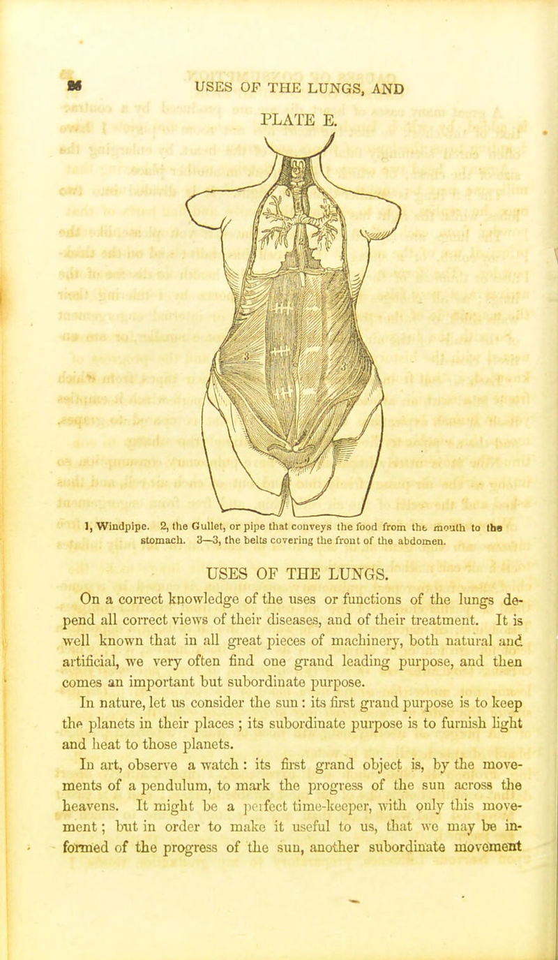 PLATE E. 1, Windpipe. 2, the Gullet, or pipe that conveys the food from tht mouth to (ha stomach. 3—3, the belts covering the front of the abdomen. USES OF THE LUNGS. On a correct knowledge of the uses or functions of the lungs de- pend all correct views of their diseases, and of their treatment. It is well known that in all great pieces of machinery, both natural and artificial, we very often find one grand leading purpose, and then comes an important but subordinate purpose. In nature, let us consider the sim: its first grand purpose is to keep the planets in their places ; its subordinate purpose is to furnish hght and heat to those planets. In art, observe a watch: its fii-st grand object is, by the move- ments of a pendulum, to mark the progress of the sun across the heavens. It might be a jioifcct time-kcepor, witli only this move- ment ; but in order to make it useful to us, that wo may be in- formed of the progress of the sun, another subordmate movoment