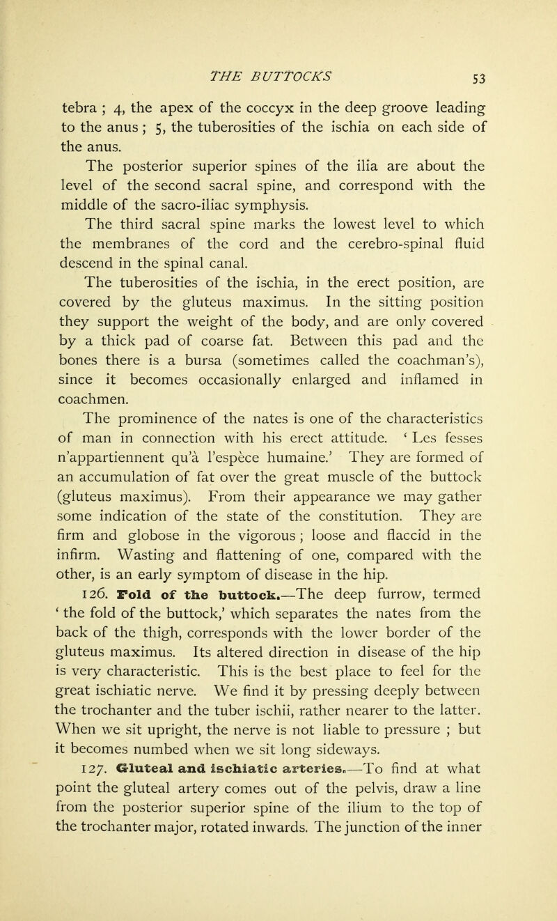 THE BUTTOCKS tebra ; 4, the apex of the coccyx in the deep groove leading to the anus ; 5, the tuberosities of the ischia on each side of the anus. The posterior superior spines of the ilia are about the level of the second sacral spine, and correspond with the middle of the sacro-iliac symphysis. The third sacral spine marks the lowest level to which the membranes of the cord and the cerebro-spinal fluid descend in the spinal canal. The tuberosities of the ischia, in the erect position, are covered by the gluteus maximus. In the sitting position they support the weight of the body, and are only covered by a thick pad of coarse fat. Between this pad and the bones there is a bursa (sometimes called the coachman's), since it becomes occasionally enlarged and inflamed in coachmen. The prominence of the nates is one of the characteristics of man in connection with his erect attitude. ' Les fesses n'appartiennent qua l'espece humaine.' They are formed of an accumulation of fat over the great muscle of the buttock (gluteus maximus). From their appearance we may gather some indication of the state of the constitution. They are firm and globose in the vigorous ; loose and flaccid in the infirm. Wasting and flattening of one, compared with the other, is an early symptom of disease in the hip. 126. Fold of the buttock.—The deep furrow, termed ' the fold of the buttock,' which separates the nates from the back of the thigh, corresponds with the lower border of the gluteus maximus. Its altered direction in disease of the hip is very characteristic. This is the best place to feel for the great ischiatic nerve. We find it by pressing deeply between the trochanter and the tuber ischii, rather nearer to the latter. When we sit upright, the nerve is not liable to pressure ; but it becomes numbed when we sit long sideways. 127. Gluteal and ischiatic arteries*—To find at what point the gluteal artery comes out of the pelvis, draw a line from the posterior superior spine of the ilium to the top of the trochanter major, rotated inwards. The junction of the inner