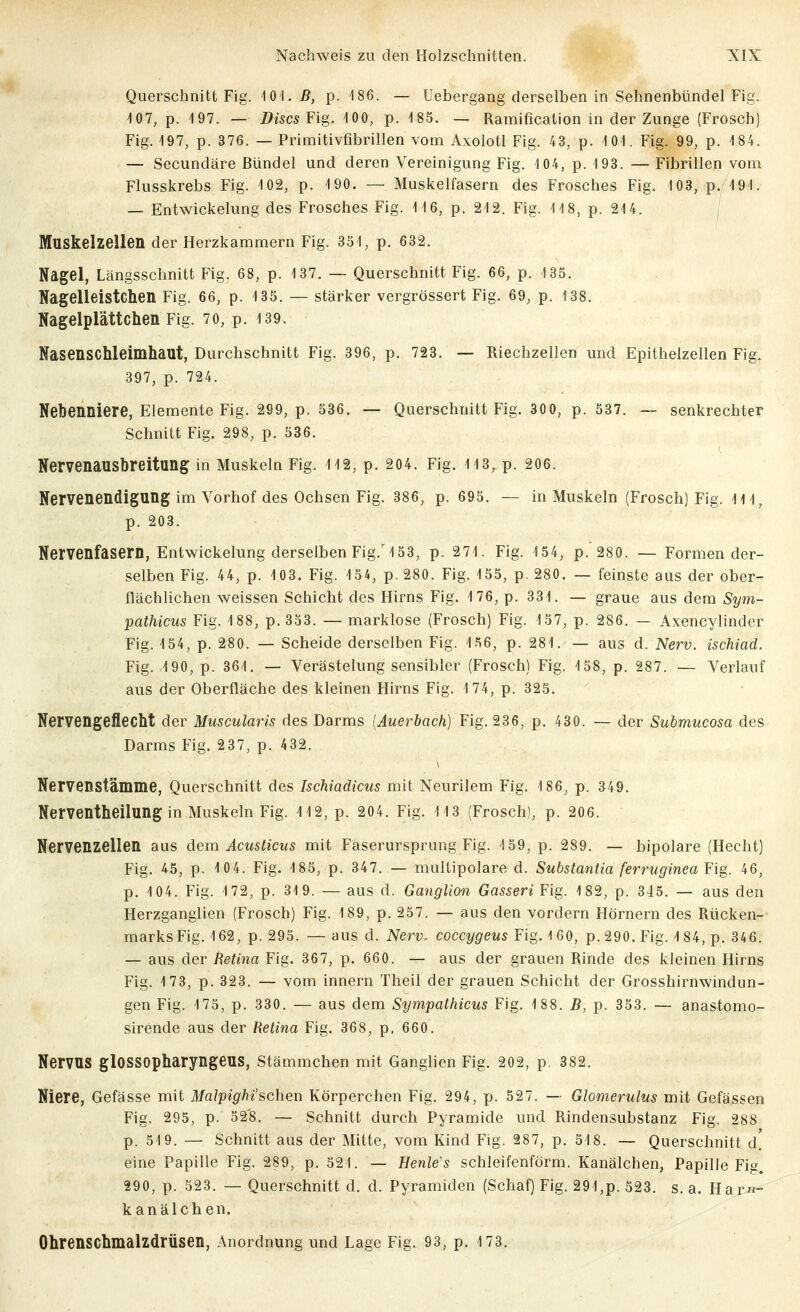 Querschnitt Fig. 101,^, p. 186. — Uebergang derselben in Sehnenbündel Fig. 'lOT, p. 497. — DiscsF'ig, iOO, p. 185. — Ramification in der Zunge (Frosch) Fig. 197, p. 376. — Primitivfibrillen vom Axolotl Fig. 43, p. 101. Fig. 99, p. 184. — Secundäre Bündel und deren Vereinigung Fig. 104, p. 193. — Fibrillen vom Flusskrebs Fig. 102, p. 190. — Muskelfasern des Frosches Fig. 103, p. 191. — EntWickelung des Frosches Fig. 116, p. 212. Fig. 118, p. 214. j Muskelzellen der Herzkammern Fig. 351, p. 632. Nagel, Längsschnitt Fig. 68, p. 137. — Querschnitt Fig. 66, p. 135. Nagelleistchen Fig. 66, p. 135. — stärker vergrössert Fig. 69, p. 138. Nagelplättchen Fig. 70, p. i39. Nasenschleimhaut, Durchschnitt Fig. 396, p. 723. — Riechzellen und Epithelzellen Fig. 397, p. 724. Nebenniere, Elemente Fig. 299, p. 536. — Querschnitt Fig. 300, p. 537. — senkrechter Schnitt Fig. 298, p. 536. Nervenausbreitung in Muskeln Fig. 112, p. 204. Fig. 113, p. 206. Nervenendigung im Vorhof des Ochsen Fig. 386, p. 695. — in Muskeln (Frosch) Fig. III, p. 203. Nervenfasern, Entwickelung derselben Fig.'153, p. 271. Fig. 154, p. 280. — Formen der- selben Fig. 44, p. 103. Fig. 154, p. 280. Fig. 155, p. 280. — feinste aus der ober- flächlichen weissen Schicht des Hirns Fig. 176, p. 331. — graue aus dem Sym- pathicus Fig. 188, p. 353. — marklose (Frosch) Fig. 157, p. 286. — Axencylinder Fig. 154, p. 280. — Scheide derselben Fig. 156, p. 281. — aus d. Nerv, ischiad. Fig. 190, p. 361. — Verästelung sensibler (Frosch) Fig. 158, p. 287. — Verlauf aus der Oberfläche des kleinen Hirns Fig. 174, p. 325. Nervengeflecht der Muscularis des Darms [Auerbach) Fig. 236, p. 430. — der Submucosa des Darms Fig. 237, p. 432. Nervenstämme, Querschnitt des Ischiadicus mit Neurilem Fig. 186, p. 349. Nerventheilung in Muskeln Fig. 112, p. 204. Fig. 113 (Frosch), p. 206. Nervenzellen aus dem Acusticus mit Faserursprung Fig. 159, p. 289. — bipolare (Hecht) Fig. 45, p. 104. Fig. 185, p. 347. — multipolare d. Substantia ferruginea Fig. 46, p. 104. Fig. 172, p. 319. — aus d. Ganglion Gasseri Fig. 182, p. 345. — aus den Herzganglien (Frosch) Fig. 189, p. 257. — aus den vordem Hörnern des Rücken- marks Fig. 162, p. 295. — aus d. Nerv, coccygeus Fig. 1 60, p. 290. Fig. 1 84, p. 34 6. — aus der Retina Fig. 367, p. 660. — aus der grauen Rinde des kleinen Hirns Fig. 173, p. 323. — vom innern Theil der grauen Schicht der Grosshirnwindnn- gen Fig. 175, p. 330. — aus dem Sympathicus Fig. 188. B, p. 353. — anastomo- sirende aus der Retina Fig. 368, p, 660. Nervus glOSSOpharyngeus, stämmchen mit Ganglien Fig. 202, p, 382. Niere, Gefässe mit Malpighi'schen Körperchen Fig. 294, p. 527. — Glomerulus mit Gefässen Fig. 295, p. 52'8. — Schnitt durch Pyramide und Rindensubstanz Fig. 288 p. 519. — Schnitt aus der Mitte, vom Kind Fig. 287, p. 518. — Querschnitt d' eine Papille Fig. 289, p. 521. — HenWs schleifenförm. Kanälchen, Papille Fis. 290, p. 523. — Querschnitt d. d. Pyramiden (Schaf) Fig. 291,p. 523. s.a. Har«- k anal eben. Ohrenschmalzdrüsen, Anordnung und Lage Fig. 93, p. 173.