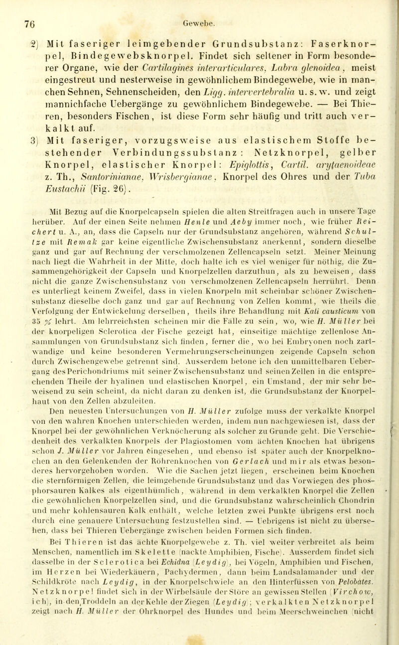 2) Mit faseriger leimgebender Grundsubstanz: Faserknor- pel, Bindegewebsknorpel. Findet sich seltener in Form l)esonde- rer Organe, wie der Cartilagines interarticulares. Lahra glenoidea, meist eingestreut und nesterweise in gewöhnlichem Bindegewebe, wie in man- chen Sehnen, Sehnenscheiden, den Ligg. mtervcrtebrcdia u.s.xw und zeigt mannichfache Uebergänge zu gewöhnlichem Bindegewebe. — Bei Thie- ren, besonders Fischen, ist diese Form sehr häufig und tritt auch ver- kalkt auf. 3) Mit faseriger, vorzugsweise aus elastischem Stoffe be- stehender Verbindungssubstanz: Netzknorpel, gelber Knorpel, elastischer Knorpel: Epiglottis, Carfil. arytaenoideae z. Th., Santon'nianae, Wrisbergianae. Knorpel des Ohres und der Tuha Eustachii (Fig. 26). Mit Bezug auf die Knorpelcapseln spielen die alten Streitfragen auch in unsere Tage herüber. Auf der einen Seite nehmen He nie und Aeby immer noch, wie früher Rei- chert u. A., an, dass die Capseln nur der Grundsubstanz angehören, während Schni- tze mit Remak gar keine eigentliche Zwischensubstanz anerkennt, sondern dieselbe ganz und gar auf Rechnung der verschmolzenen Zellencapseln setzt. Meiner Meinung nach liegt die W^ahrheit in der Mitte, doch halte ich es viel weniger für nothig, die Zu- sammengehörigkeit der Capseln und Knorpelzellen darzuHiun, als zu beweisen, dass nicht die ganze Zwischensubstanz von verschmolzenen Zellencapseln herrührt. Denn es unterliegt keinem Zweifel, dass in vielen Knorpeln mit scheinljar schöner Zwischen- substanz dieselbe doch ganz und gar auf Rechnung von Zellen kommt, wie tlieils die Verfolgung der Entwickelung derselben, theils ihre Behandlung mit Kali causticum von 35 ^ lehrt. Am lehrreichsten scheinen mir die Fälle zu sein, wo, wie H. Müller bei der knorpeligen Sclerotica der Fische gezeigt hat, einseitige mächtige zellenlose An- sammlungen von Grundsubstanz sich finden, ferner die, wo bei Embryonen noch zart- wandige und keine besonderen Vermehrungserscheinungen zeigende Capseln schon durch Zwischengewel^e getrennt sind. Ausserdem betone ich den unmittelbaren Ueber- gang des Perichondriums mit seiner Zwischensubstanz und seinen Zellen in die entspre- chenden Theile der hyalinen und elastischen Knorpel, ein Umstand, der mir sehr be- weisend zu sein scheint, da nicht daran zu denken ist, die Grundsubstanz der Knorpel- haut von den Zellen abzuleiten. Den neuesten Untersuchungen von H. Müller zufolge muss der verkalkte Knorpel von den wahren Knochen unterschieden werden, indem nun nachgewiesen ist, dass der Knorpel bei der gewöhnlichen Verknöcherung als solcher zu Grunde geht. Die Verschie- denheit des verkalkten Knorpels der Plagiostomen vom ächten Knochen hat übrigens schon /. Müller vor Jahren eingesehen, und ebenso ist später auch der Knorpelkno- chen an den Gelenkenden der Röhrenknochen von Gerlach und mir als etwas beson- deres hervorgehoben worden. Wie die Sachen jetzt liegen, erscheinen beim Knochen die sternförmigen Zellen, die leimgebende Grundsubstanz und das Vorwiegen des phos- phorsauren Kalkes als eigenthümlich, während in dem verkalkten Knorpel die Zellen die gewöhnlichen Knorpelzellen sind, und die Grundsubstanz wahrscheinlich Chondrin und mehr kohlensauren Kalk enthält, welche letzten zwei Punkte übrigens erst noch durch eine genauere Untersuchung festzustellen sind. — Uebrigens ist niclit zu überse- hen, dass bei Thieren Uebergänge zwischen beiden Formen sich finden. Bei Thieren ist das ächte Knorpelgewcbe z. Th. viel weiterverbreitet als beim Menschen, namentlich im Skelette 'nackte Amphibien, Fische . Ausserdem findet sich dasselbe in der Sclerotica hei Echidna Leydig , liei Vögeln, Amphibien und Fischen, im Herzen bei W^iederkäuern, Pachydermen, dann beim Landsalamander und der Schildkröte nach Leydig, in der Knorpelschwiele an den Hinterfüssen von PeZo&n/e^. Netzknorpel findet sich in der W'irbelsäule der Störe an gewissen Stellen [Virchoiv, ich), in den^Troddeln an derKehle der Ziegen [Leydig] ve r k a 1 k t e n N e t z k n o r p e 1 zeigt nach H. Müller der Ohrknorpel des Hundes und beim Meerschweinchen nicht