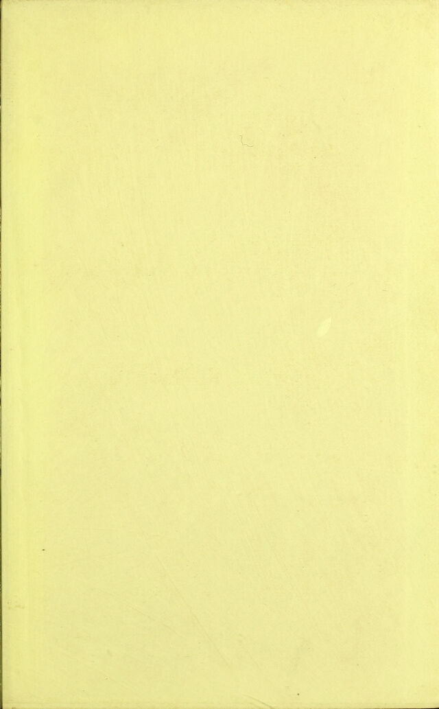 digitised image 3