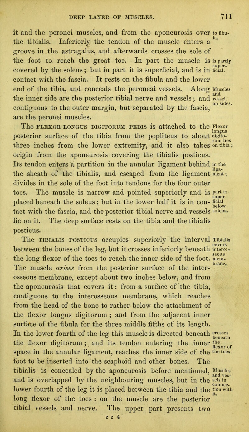 it and the peronei muscles, and from the aponeurosis over to fibu- the tibialis. Inferiorly the tendon of the muscle enters a groove in the astragalus, and afterwards crosses the sole of the foot to reach the great toe. In part the muscle is is partly covered by the soleus; but in part it is superficial, and is in ficFah contact with the fascia. It rests on the fibula and the lower end of the tibia, and conceals the peroneal vessels. Along Muscles the inner side are the posterior tibial nerve and vessels ; and vesseic . i n . on sides. contiguous to the outer margin, but separated by the iascia, are the peronei muscles. The FLEXOR LONGUS DIGITORUM PEDIS is attached tO the Flexor longus posterior surface of the tibia from the popliteus to about digito- ruui lies three inches from the lower extremity, and it also takes on tibia; origin from the aponeurosis covering the tibialis posticus. Its tendon enters a partition in the annular ligament behind in the the sheath of the tibialis^ and escaped from the ligament ment; divides in the sole of the foot into tendons for the four outer toes. The muscle is narrow and pointed superiorly and isParti» A ... super placed beneath the soleus; but in the lower half it is in con- ficjai^ tact with the fascia, and the posterior tibial nerve and vessels soleus. lie on it. The deep surface rests on the tibia and the tibialis posticus. The tibialis posticus occupies superiorly the interval Tibialis between the bones of the leg, but it crosses inferiorly beneath intero:- the long flexor of the toes to reach the inner side of the foot, mem- The muscle arises from the posterior surface of the inter- osseous membrane, except about two inches below, and from the aponeurosis that covers it: from a surface of the tibia, contiguous to the interosseous membrane, which reaches from the head of the bone to rather below the attachment of the flexor longus digitorum ; and from the adjacent inner surface of the fibula for the three middle fifths of its length. In the lower fourth of the leg this muscle is directed beneath crosses ° beneath the flexor digitorum; and its tendon entering the inner Lhe .' flexor of space in the annular ligament, reaches the inner side of the the toes, foot to be inserted into the scaphoid and other bones. The tibialis is concealed by the aponeurosis before mentioned, Muscles . . and ves- and is overlapped by the neighbouring muscles, but in the sels in lower fourth of the leg it is placed between the tibia and the g°n with long flexor of the toes : on the muscle are the posterior tibial vessels and nerve. The upper part presents two