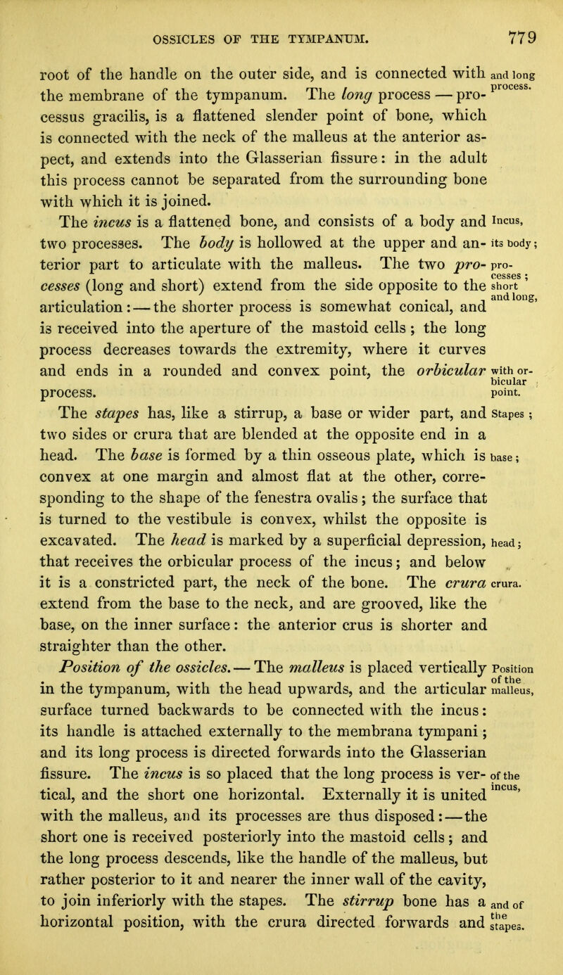 root of the handle on the outer side, and is connected with and long the membrane of the tympanum. The long process — pro- process* cessus gracilis, is a flattened slender point of bone, which is connected with the neck of the malleus at the anterior as- pect, and extends into the Glasserian fissure: in the adult this process cannot be separated from the surrounding bone with which it is joined. The incus is a flattened bone, and consists of a body and incus, two processes. The body is hollowed at the upper and an- its body ? terior part to articulate with the malleus. The two pro- pro- cesses (lone; and short) extend from the side opposite to the short ' . -, . , • if-!-, and long, articulation: — the shorter process is somewhat conical, and is received into the aperture of the mastoid cells ; the long process decreases towards the extremity, where it curves and ends in a rounded and convex point, the orbicular with or- bicular process. point. The stapes has, like a stirrup, a base or wider part, and stapes; two sides or crura that are blended at the opposite end in a head. The base is formed by a thin osseous plate, which is base; convex at one margin and almost flat at the other, corre- sponding to the shape of the fenestra ovalis; the surface that is turned to the vestibule is convex, whilst the opposite is excavated. The head is marked by a superficial depression, head; that receives the orbicular process of the incus; and below it is a constricted part, the neck of the bone. The crura crura, extend from the base to the neck, and are grooved, like the base, on the inner surface: the anterior crus is shorter and straighter than the other. Position of the ossicles. — The malleus is placed vertically Position in the tympanum, with the head upwards, and the articular malleus, surface turned backwards to be connected with the incus: its handle is attached externally to the membrana tympani; and its long process is directed forwards into the Glasserian fissure. The incus is so placed that the long process is ver- of the tical, and the short one horizontal. Externally it is united incus' with the malleus, and its processes are thus disposed:—the short one is received posteriorly into the mastoid cells; and the long process descends, like the handle of the malleus, but rather posterior to it and nearer the inner wall of the cavity, to join inferiorly with the stapes. The stirrup bone has a and of horizontal position, with the crura directed forwards and Hapes.