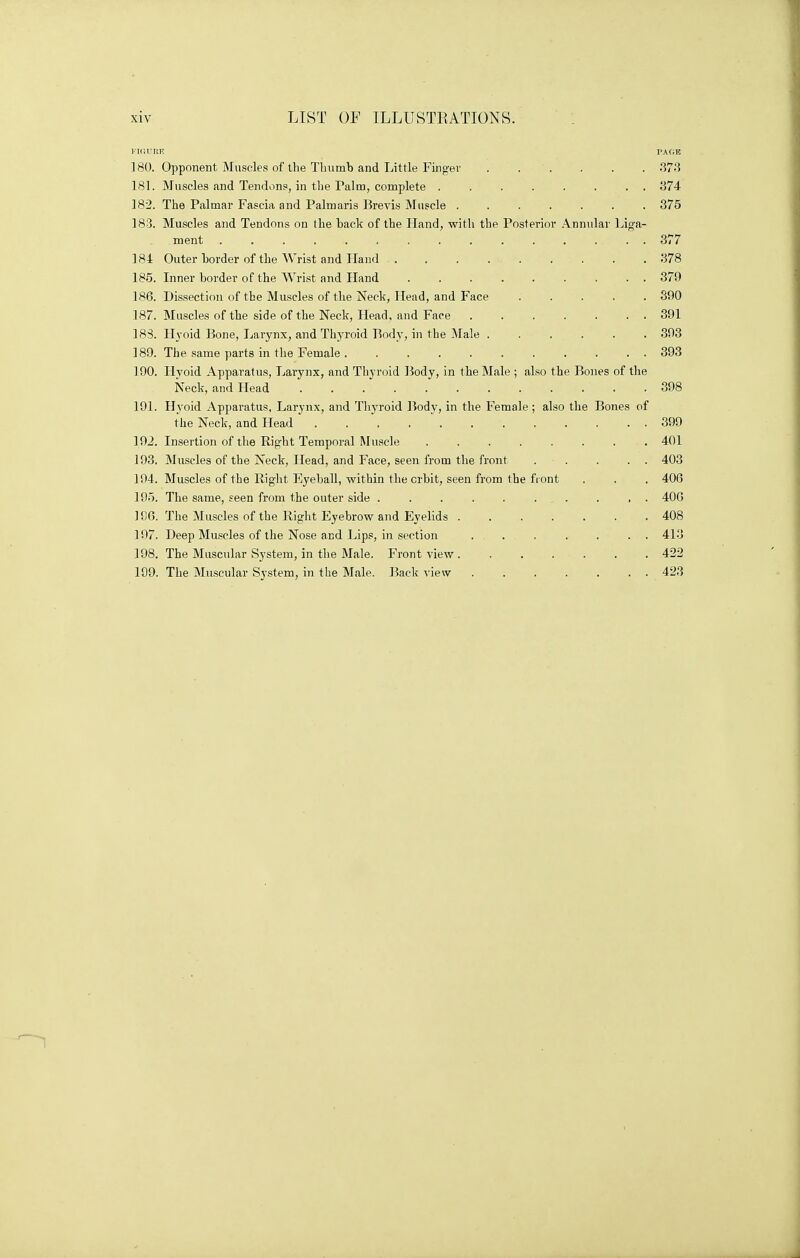 FIGURE PAGE 180. Opponent Muscles of the Thumb and Little Finger . . . . . 373 181. Muscles and Tendons, in the Palm, complete 374 182. The Palmar Fascia and Palmaris Brevis Muscle 375 183. Muscles and Tendons on the back of the Hand, with the Posterior Annular Liga- ment ............... 377 184 Outer border of the Wrist and Hand 378 185. Inner border of the Wrist and Hand 379 186. Dissection of the Muscles of the Neck, Head, and Face 390 187. Muscles of the side of the Neck, Head, and Face 391 183. Hyoid Bone, Larynx, and Thyroid Body, in the Male 393 189. The same parts in the Female. . . . . . . . . . . 393 190. Hyoid Apparatus, Larynx, and Thyroid Body, in the Male ; also the Bones of the Neck, and Head ............ 398 191. Hyoid Apparatus, Larynx, and Thyroid Body, in the Female; also the Bones of the Neck, and Head 399 192. Insertion of the Right Temporal Muscle ........ 401 193. Muscles of the Neck, Head, and Face, seen from the front . . . . . 403 194. Muscles of the Right Eyeball, within the crbit, seen from the front . . . 406 195. The same, seen from the outer side . . . . . . „ . . , . 400 196. The Muscles of the Right Eyebrow and Eyelids 408 197. Deep Muscles of the Nose and Lips, in section ....... 413 198. The Muscular System, in the Male. Front view 422 199. The Muscular System, in the Male. Back view 423