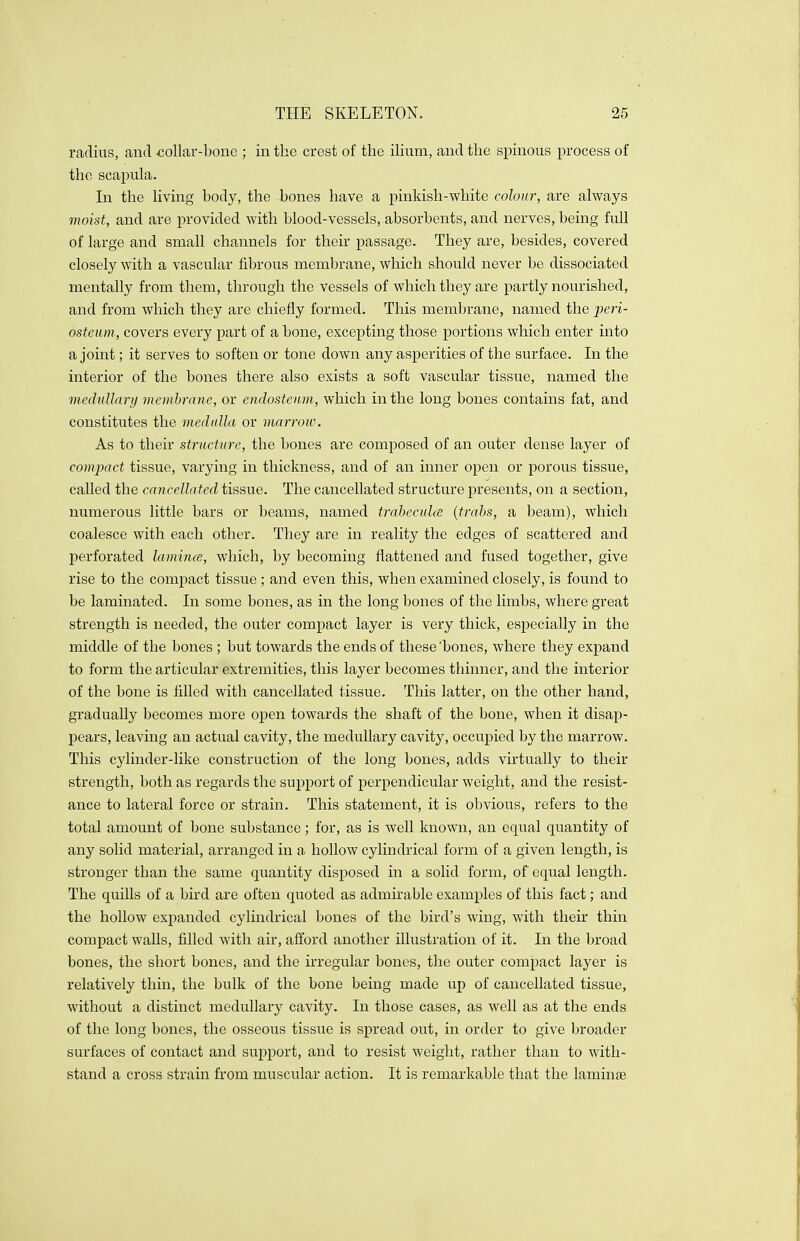 radius, and collar-bone ; in the crest of the ilium, and the spinous process of the scapula. In the living body, the bones have a pinkish-white colour, are always moist, and are provided with blood-vessels, absorbents, and nerves, being full of large and small channels for their passage. They are, besides, covered closely with a vascular fibrous membrane, which should never be dissociated mentally from them, through the vessels of which they are partly nourished, and from which they are chiefly formed. This membrane, named the peri- osteum, covers every part of a bone, excepting those portions which enter into a joint; it serves to soften or tone down any asperities of the surface. In the interior of the bones there also exists a soft vascular tissue, named the medullary membrane, or endosteum, which in the long bones contains fat, and constitutes the medulla or marrow. As to their structure, the bones are composed of an outer dense layer of compact tissue, varying in thickness, and of an inner open or porous tissue, called the cancellated tissue. The cancellated structure presents, on a section, numerous little bars or beams, named trabecules (trabs, a beam), which coalesce with each other. They are in reality the edges of scattered and perforated lamina, which, by becoming flattened and fused together, give rise to the compact tissue; and even this, when examined closely, is found to be laminated. In some bones, as in the long bones of the limbs, where great strength is needed, the outer compact layer is very thick, especially in the middle of the bones ; but towards the ends of these 'bones, where they expand to form the articular extremities, this layer becomes thinner, and the interior of the bone is filled with cancellated tissue. This latter, on the other hand, gradually becomes more open towards the shaft of the bone, when it disap- pears, leaving an actual cavity, the medullary cavity, occupied by the marrow. This cylinder-like construction of the long bones, adds virtually to their strength, both as regards the support of perpendicular weight, and the resist- ance to lateral force or strain. This statement, it is obvious, refers to the total amount of bone substance; for, as is well known, an equal quantity of any solid material, arranged in a hollow cylindrical form of a given length, is stronger than the same quantity disposed in a solid form, of equal length. The quills of a bird are often quoted as admirable examples of this fact; and the hollow expanded cylindrical bones of the bird's wing, with their thin compact walls, filled with air, afford another illustration of it. In the broad bones, the short bones, and the irregular bones, the outer compact layer is relatively thin, the bulk of the bone being made up of cancellated tissue, without a distinct medullary cavity. In those cases, as well as at the ends of the long bones, the osseous tissue is spread out, in order to give broader surfaces of contact and support, and to resist weight, rather than to with- stand a cross strain from muscular action. It is remarkable that the laminae